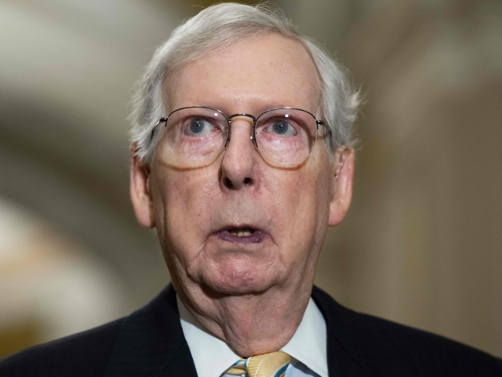 New Senate Majority Leader new-senate-majority-leader