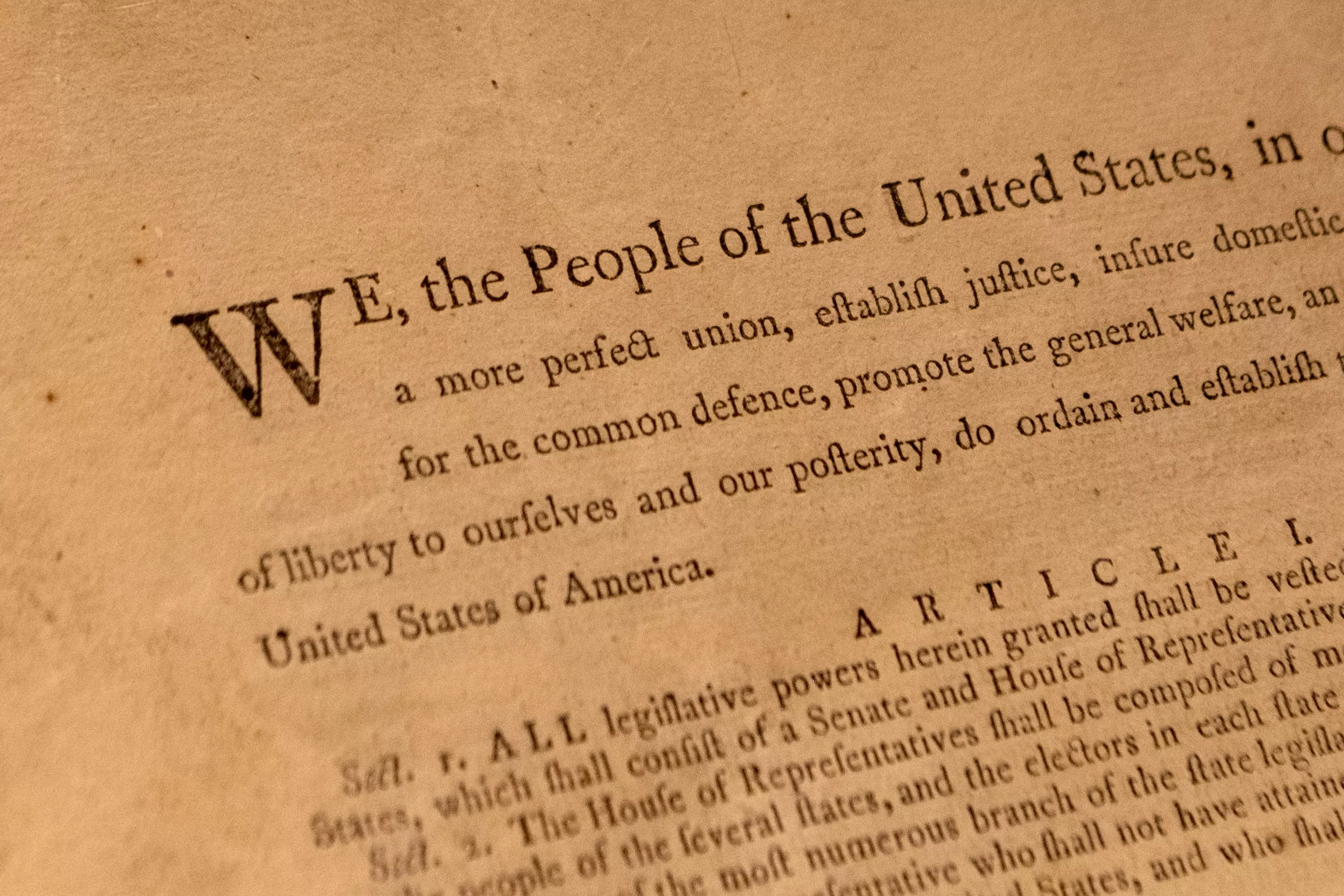 The Case Against the Constitution - Vimarsana News