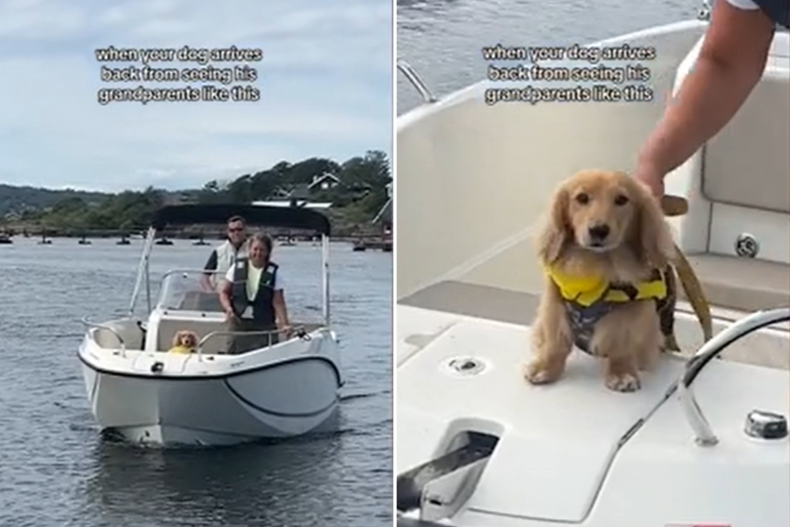 Noodle arrives by boat to meet owner