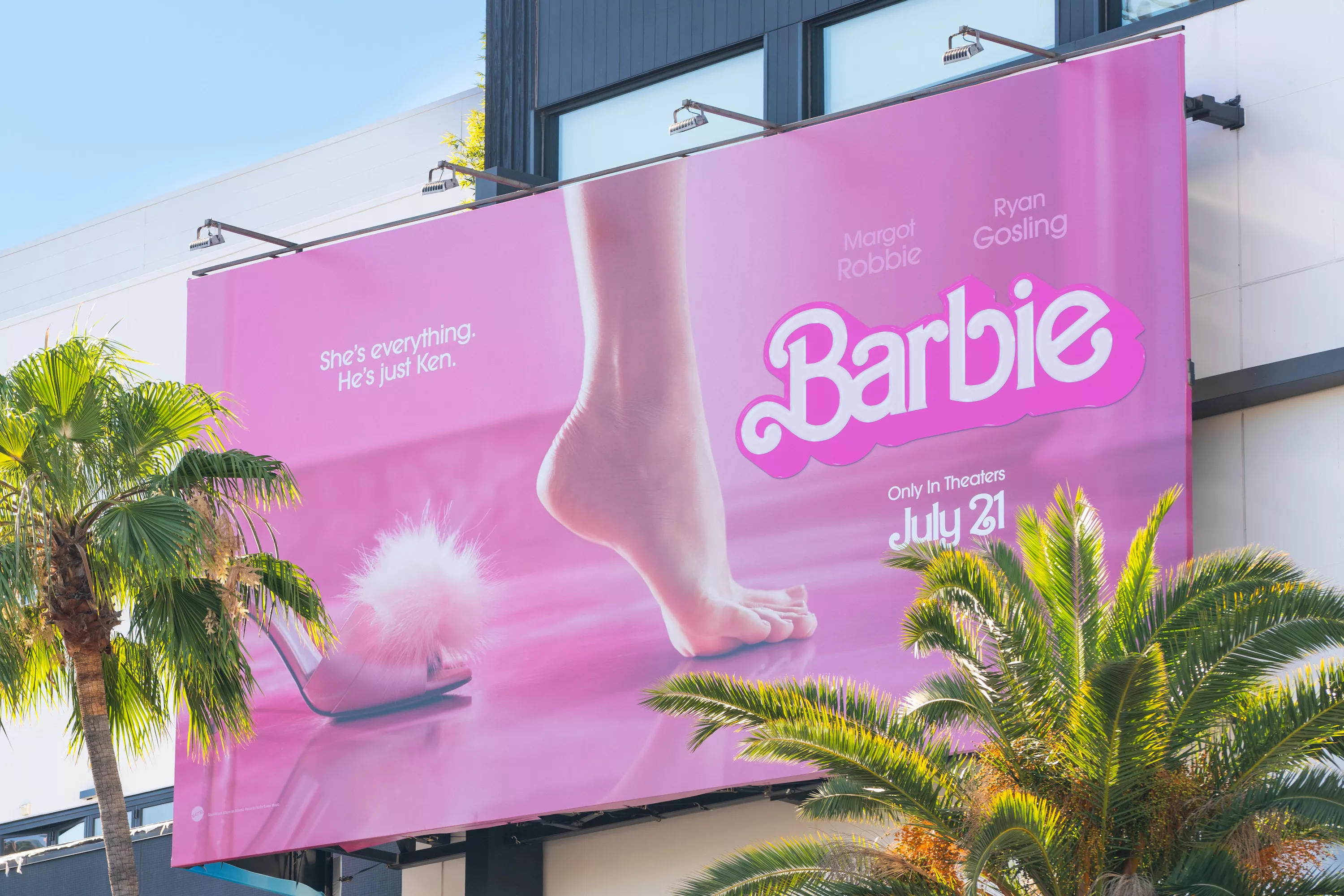 Barbie Boys in a Gender-Confused World - Vimarsana News