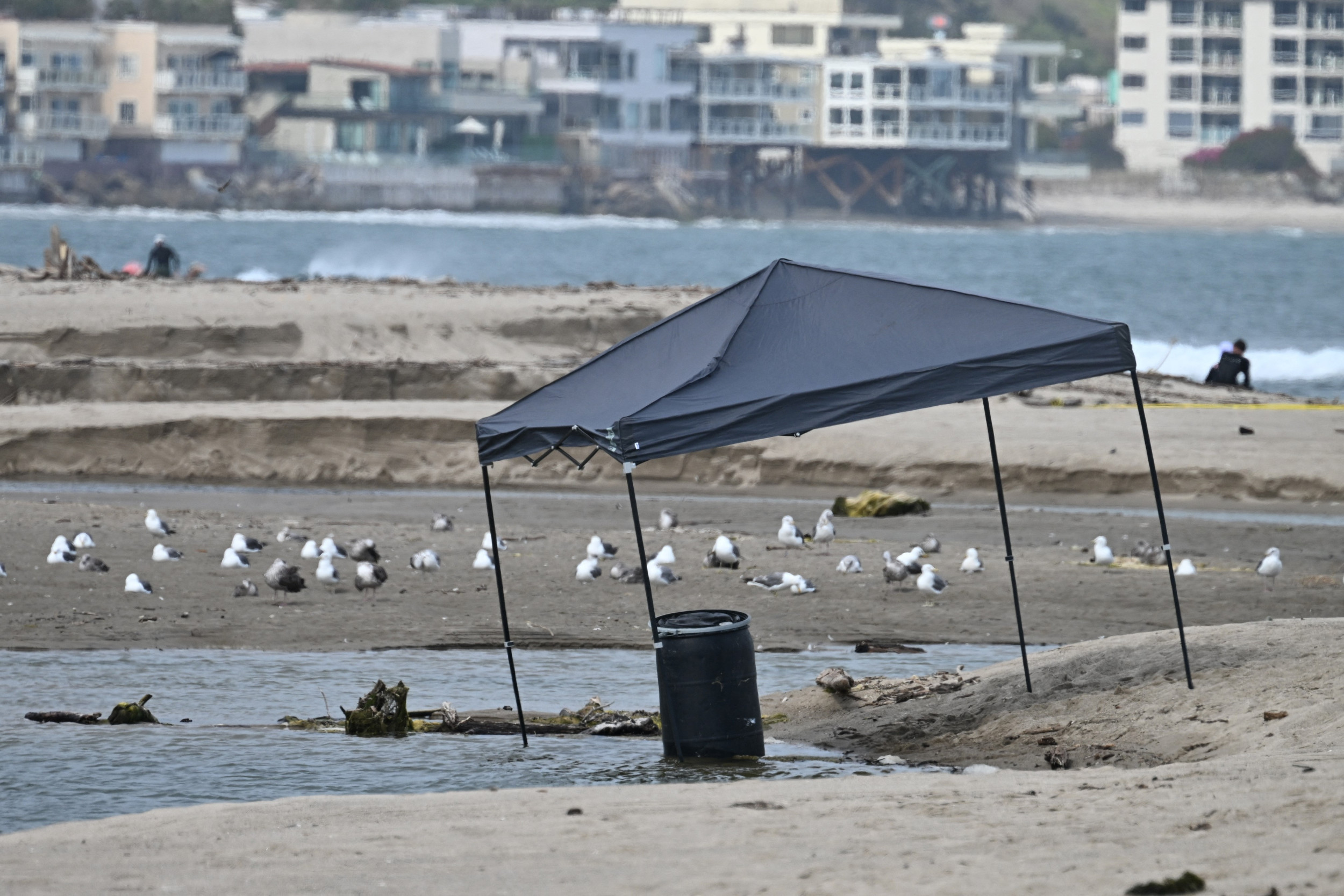 Beach Hunters Nude - Body Found in Barrel on Malibu Beach 'Didn't Look Decomposed'â€”Police