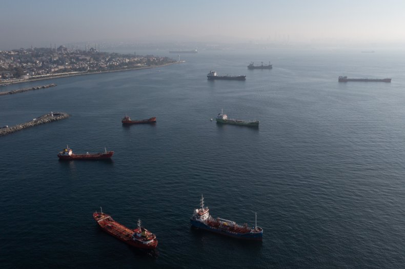 Container ships pictured waiting in Istanbul Turkey