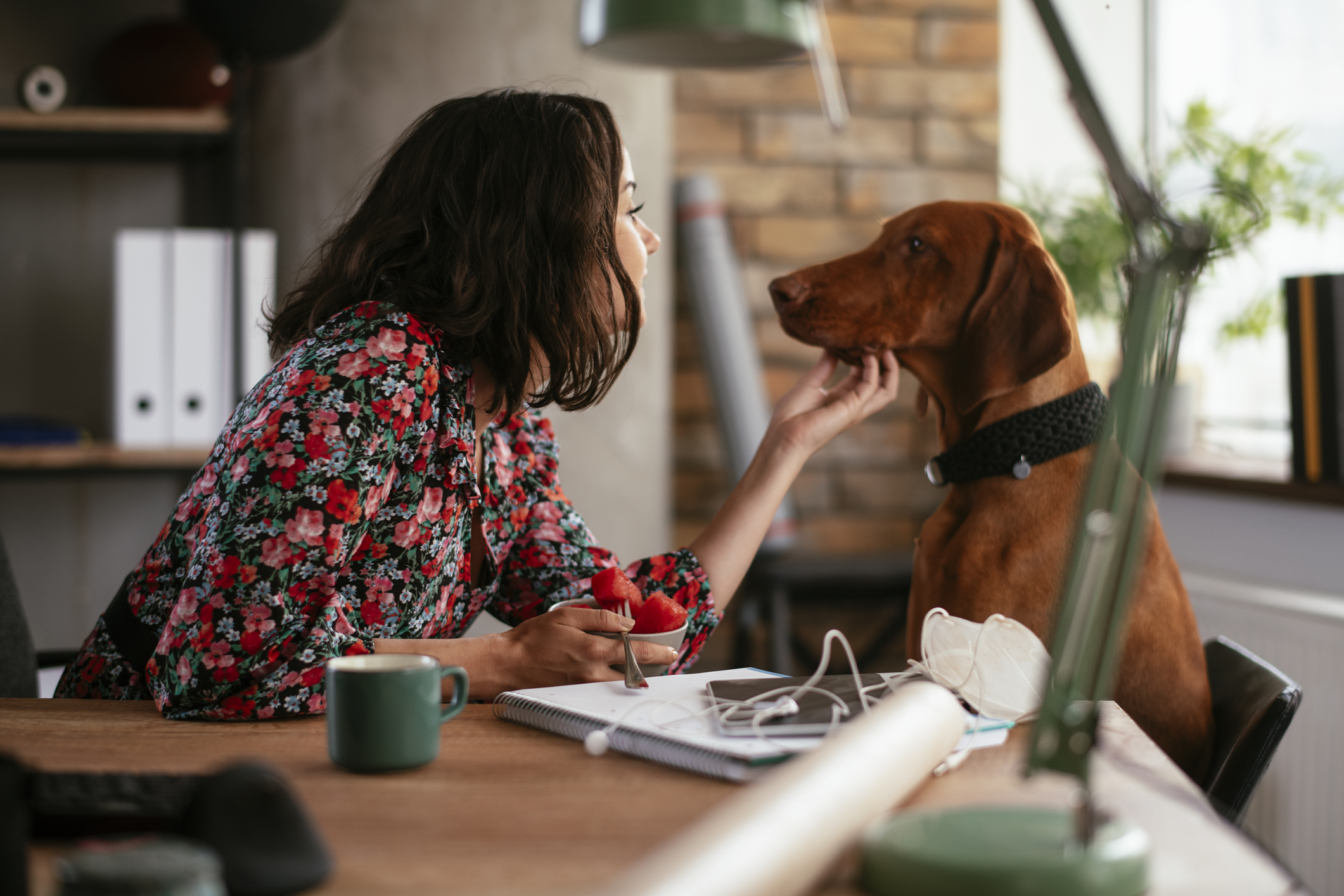 Woman Works Office Job, While Enjoying Van Life With Pet Fish