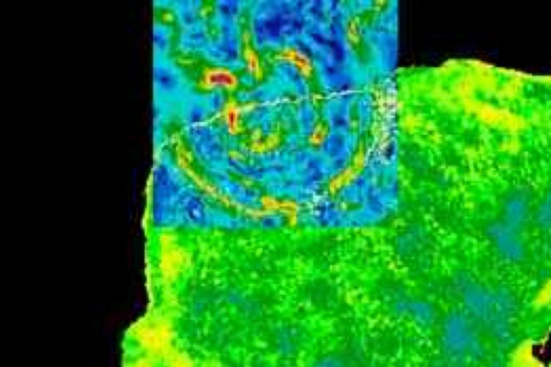Chicxulub impact