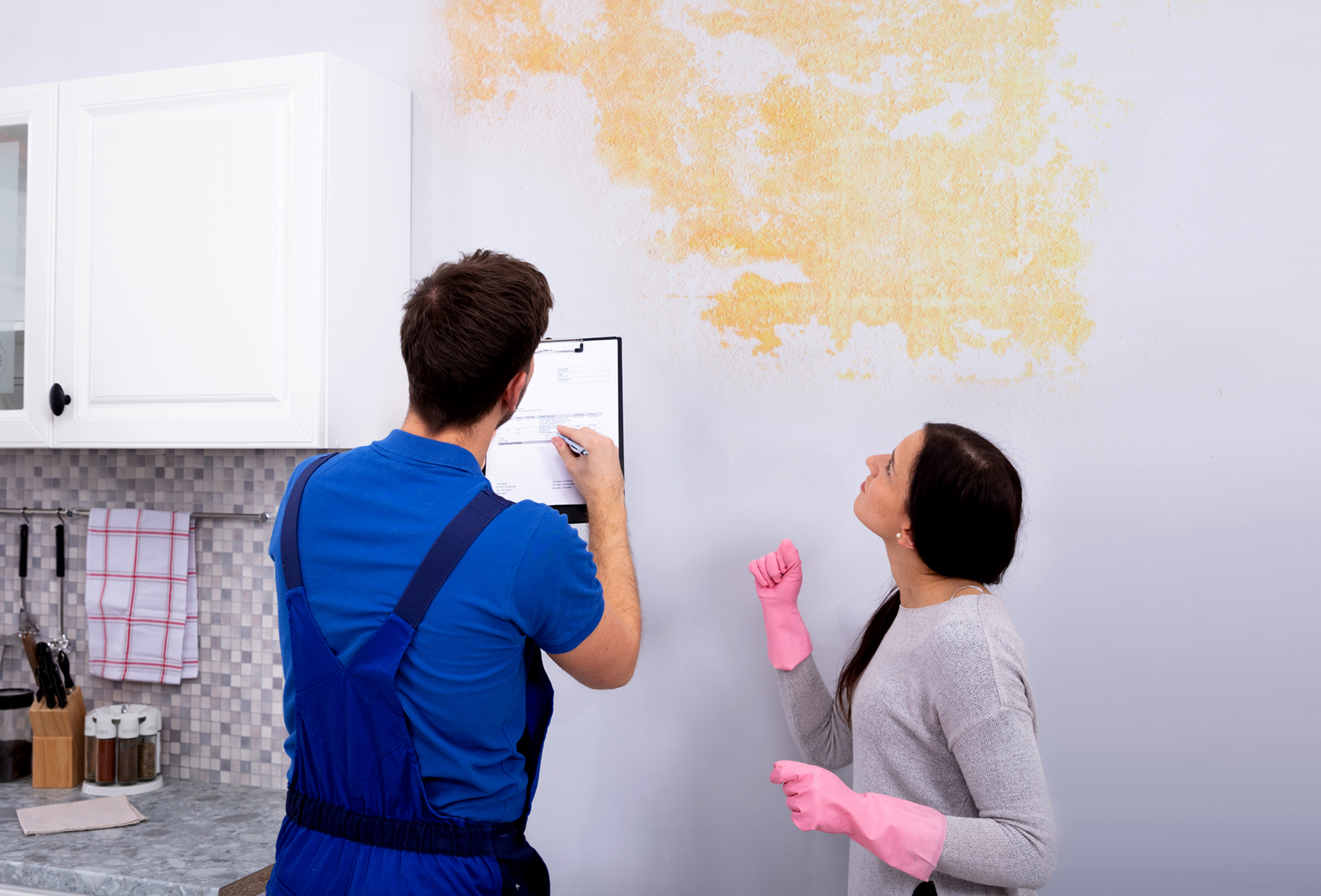 Mold Specialist Reveals 4 Warning Signs To Look For When Buying A Home   Mold Warning Signs House Buying 