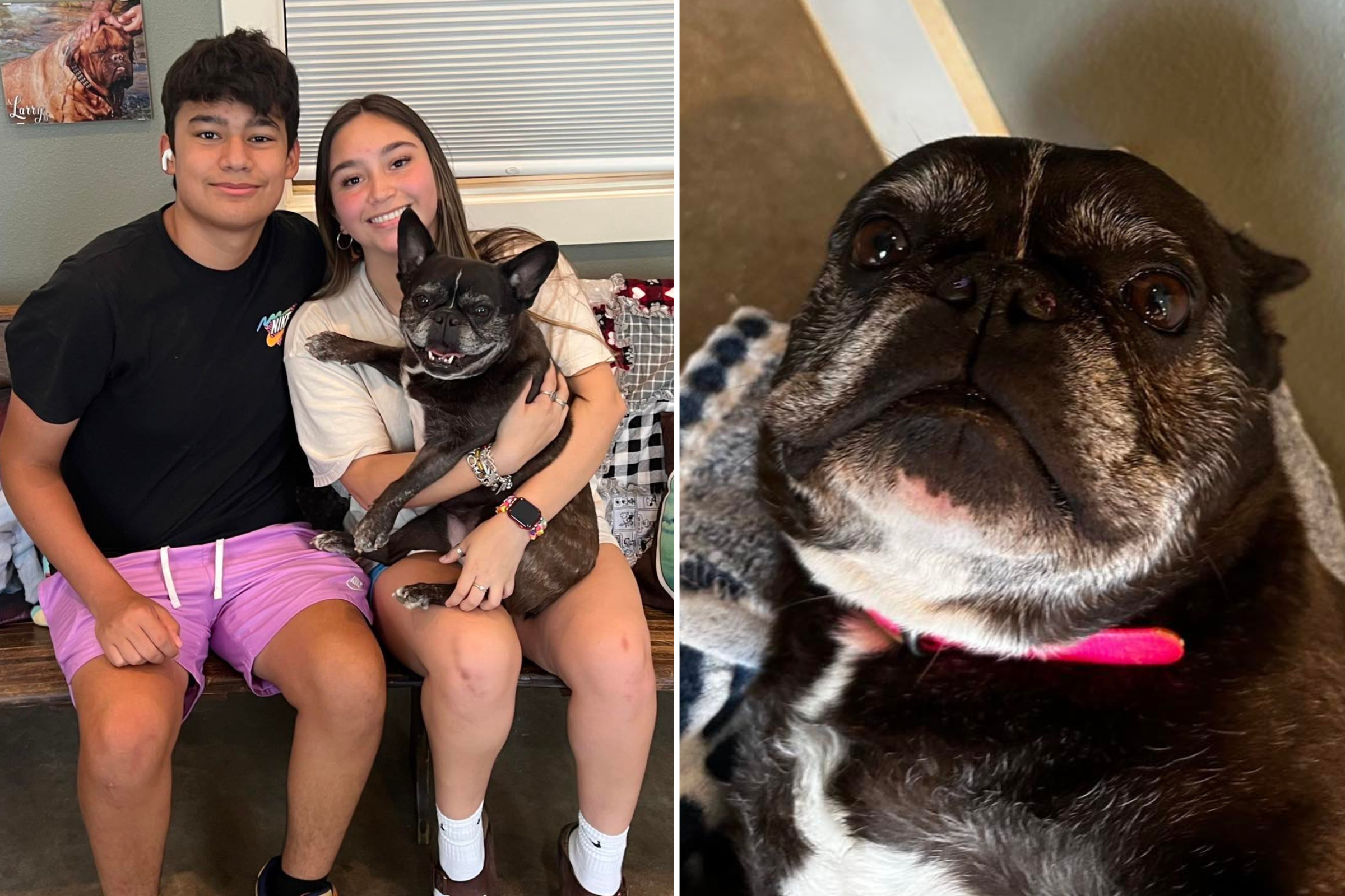Woman Adopts the One Shelter Dog Nobody Wanted: 'No More Waiting' - Vimarsana News