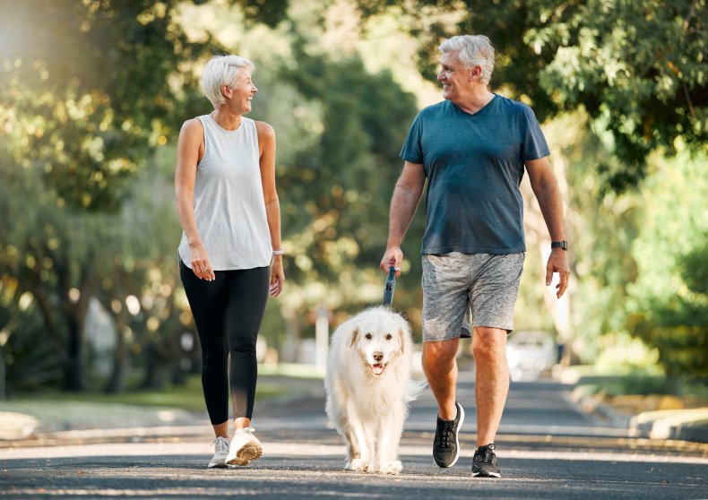 Couple walking with dog