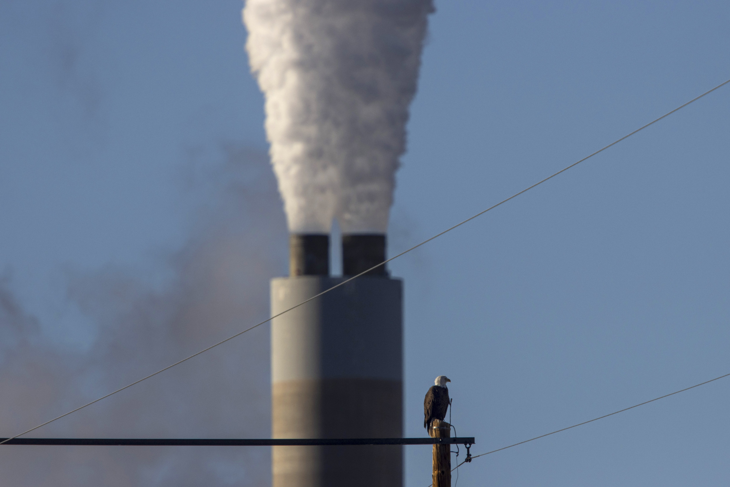 My Health Is a Victim of a Warming Planet | Opinion