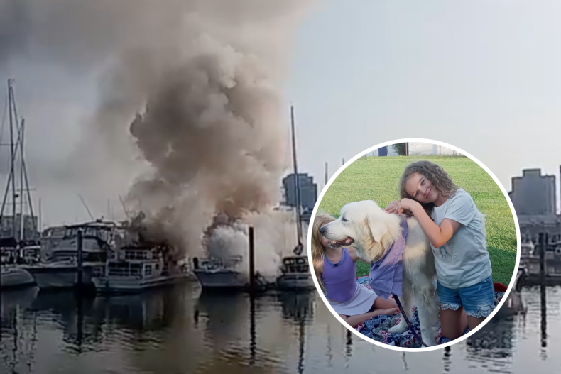 Boat fire and dog
