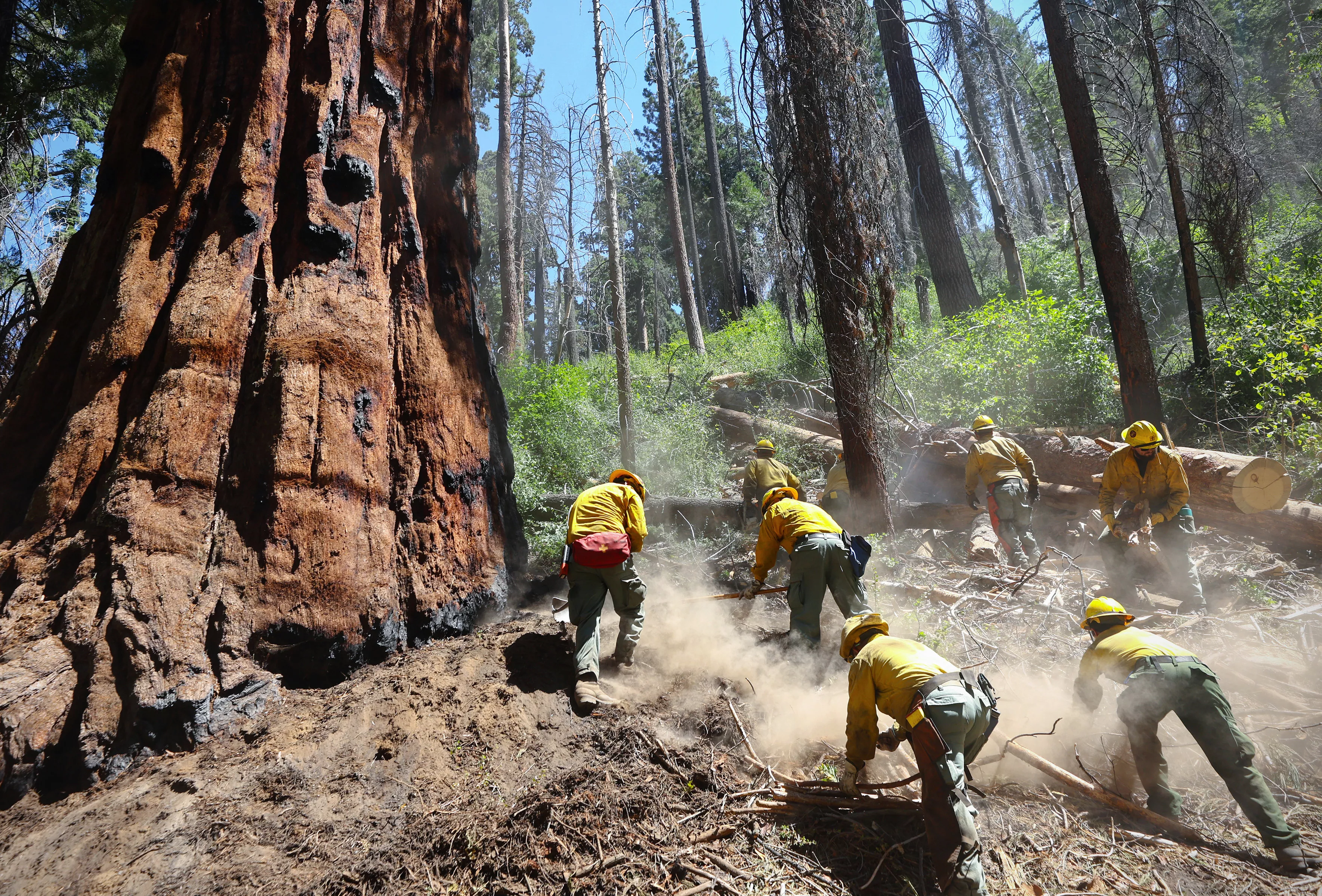 How Bad Are the 2023 Wildfires? Chart Shows Dramatic Shift From Last Year - Vimarsana News