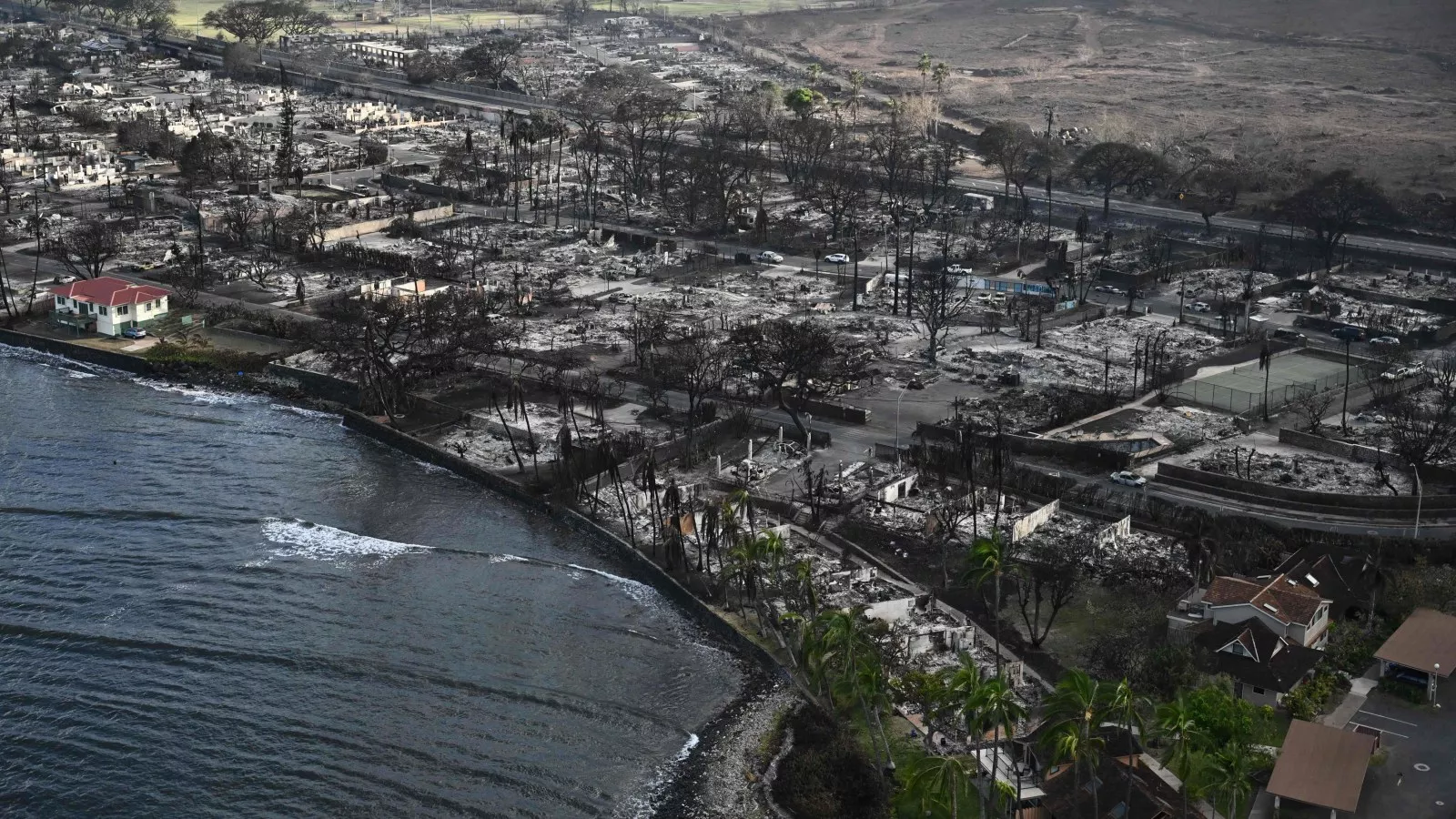 Map Shows Oprah's Maui Properties as Hawaii Wildfire Spreads - Newsweek