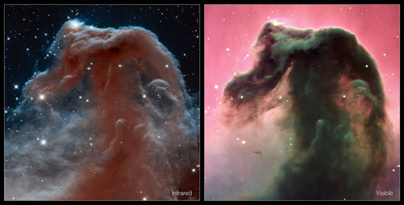 horsehead nebula