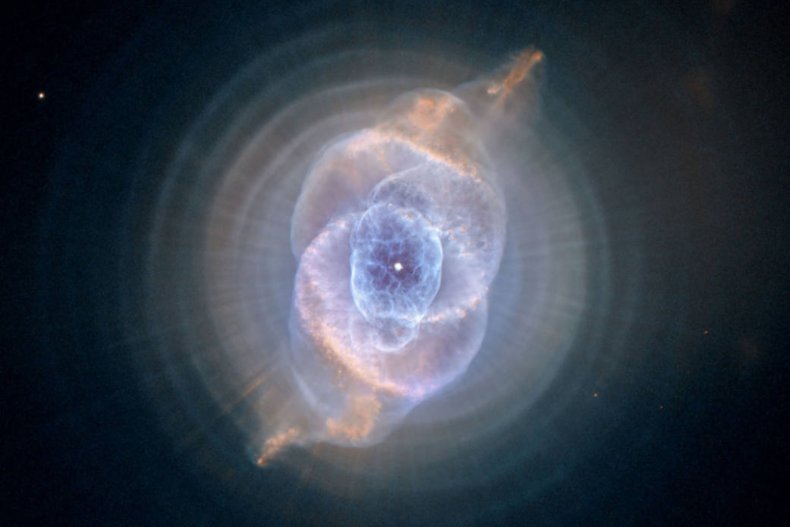 cat's eye