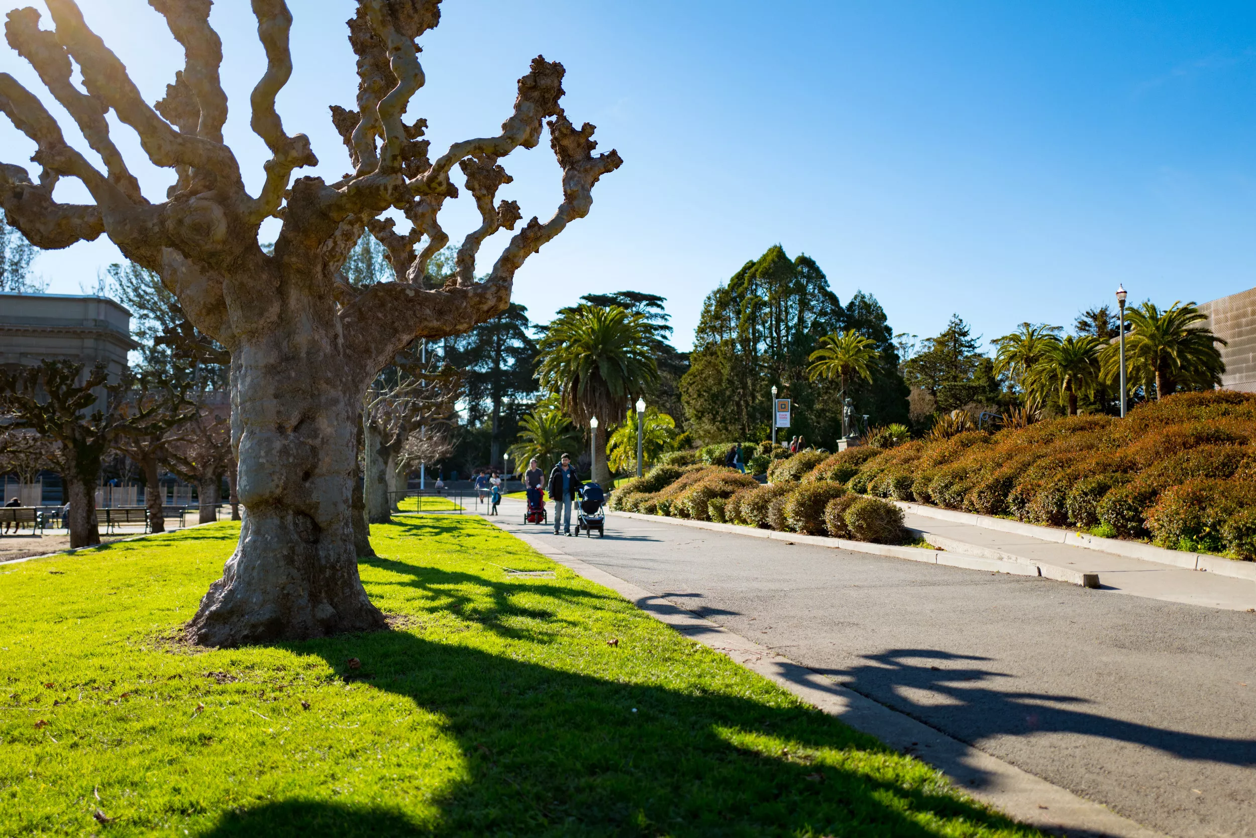 Mystery Woman's Body Found in Duffle Bag in San Francisco Park - Vimarsana News