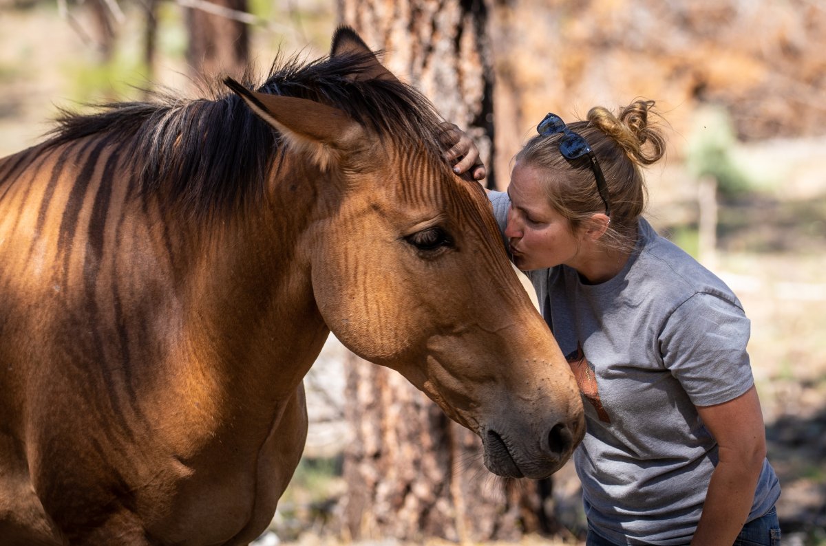 Horse gets a kiss