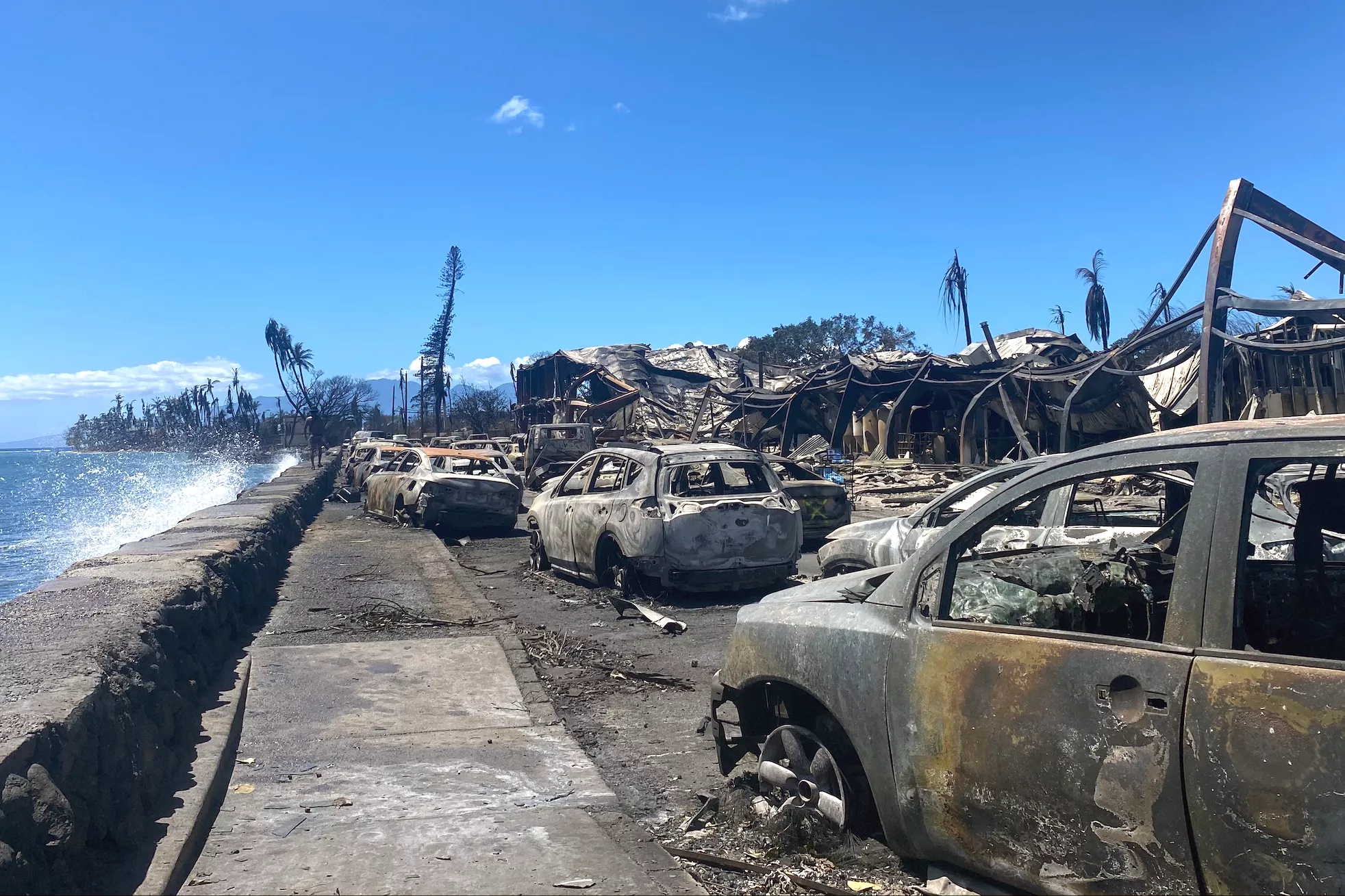 Maui Crime Rises After Wildfire: 'Utter Chaos' - Vimarsana News