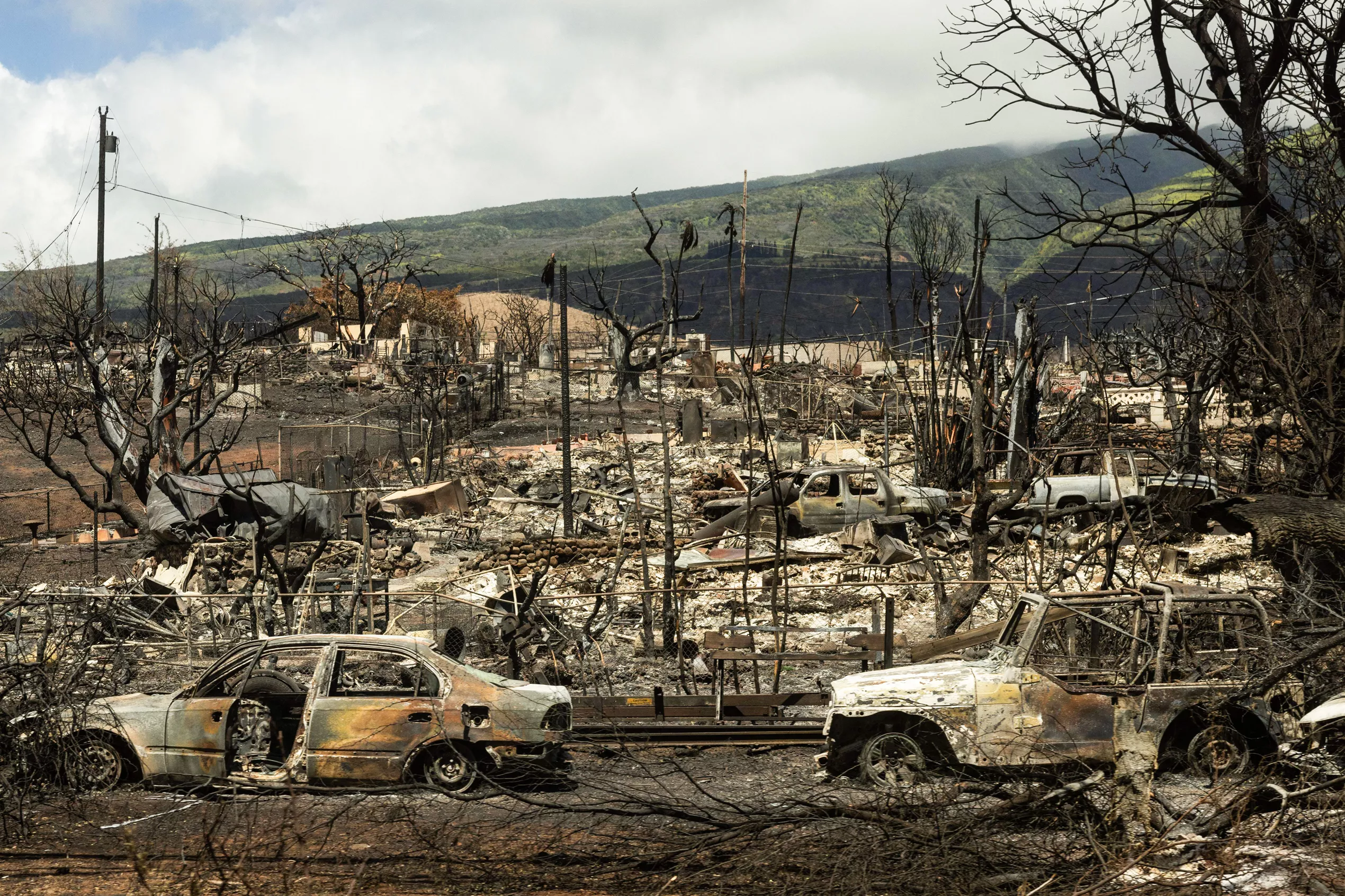 Hawaii Insurance Risk In Spotlight After Maui Wildfires - Vimarsana News