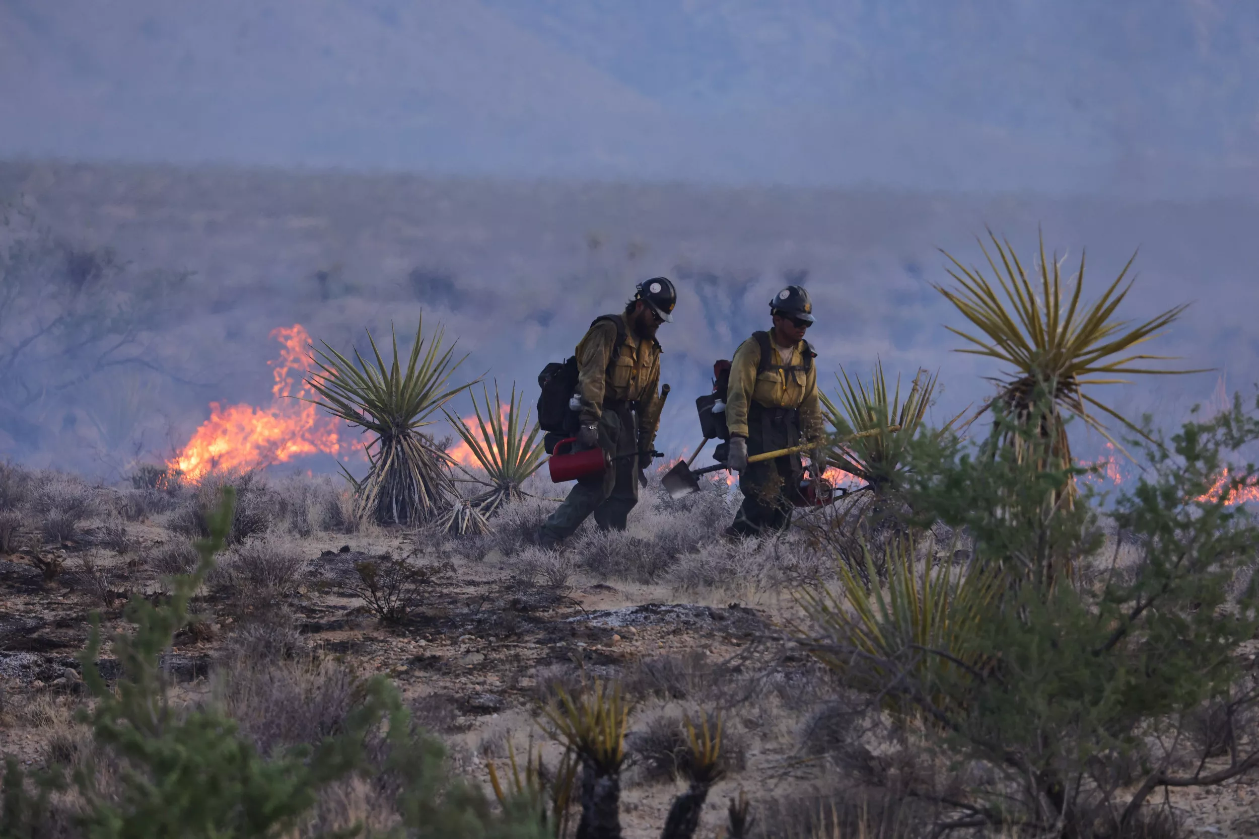 California Fire Map, Update as Rapidly-Growing Head Fire Sparks Evacuations - Vimarsana News