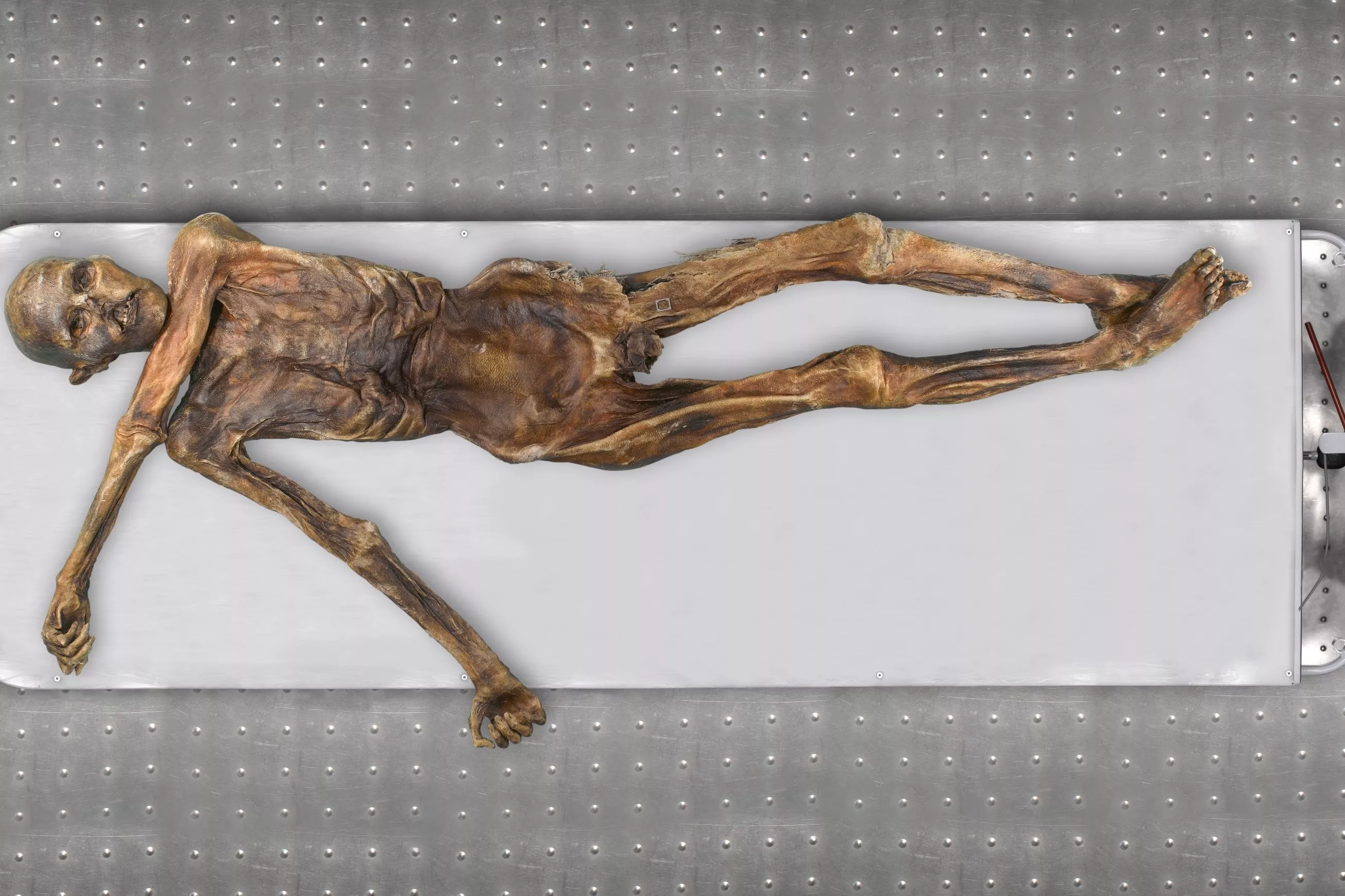 Mysteries of Prehistoric Ötzi the Iceman Mummy Are Finally Being Unraveled - Vimarsana News