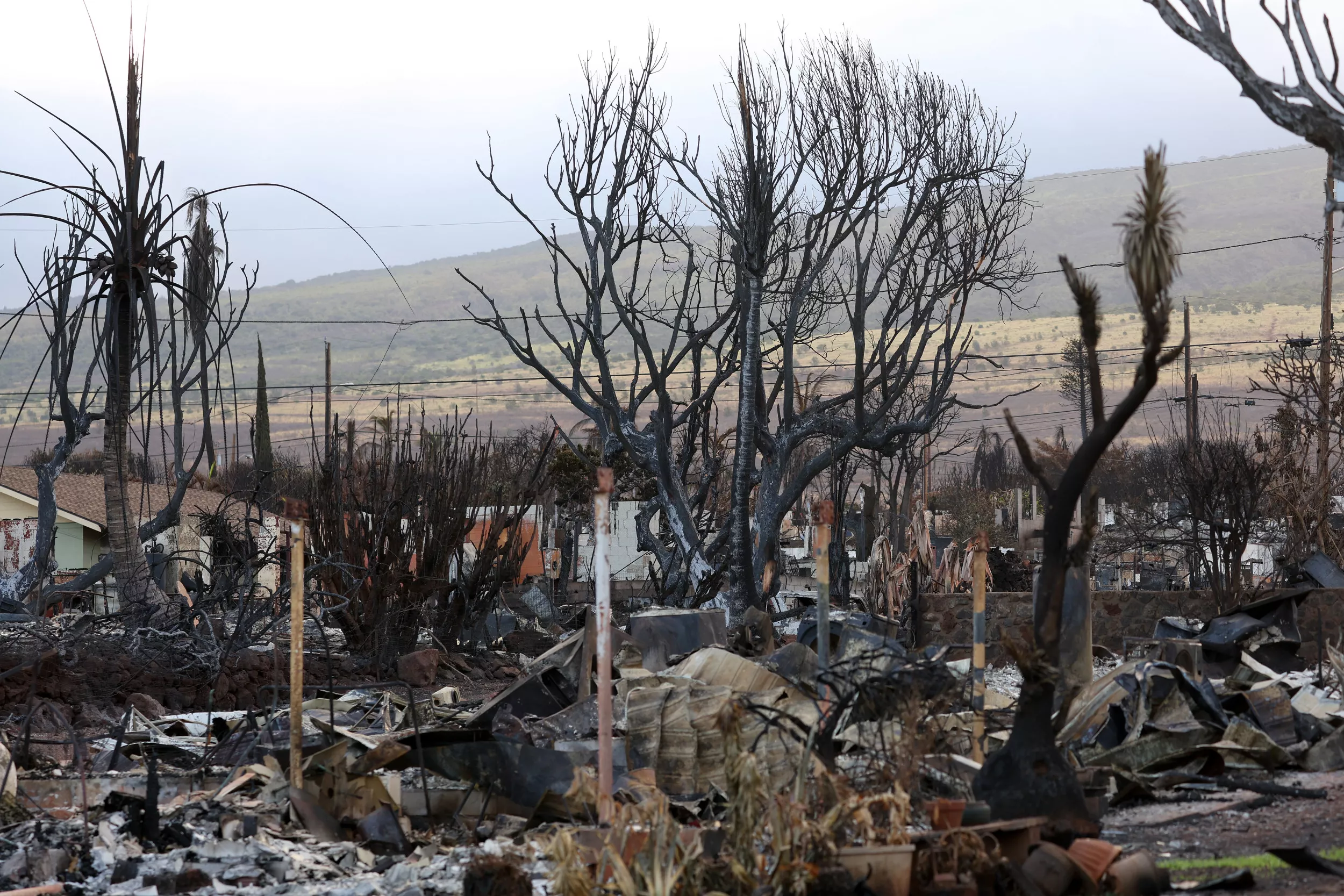 Hawaii Wildfire Crisis Faces Tropical Storm and Hurricane Fallout - Vimarsana News