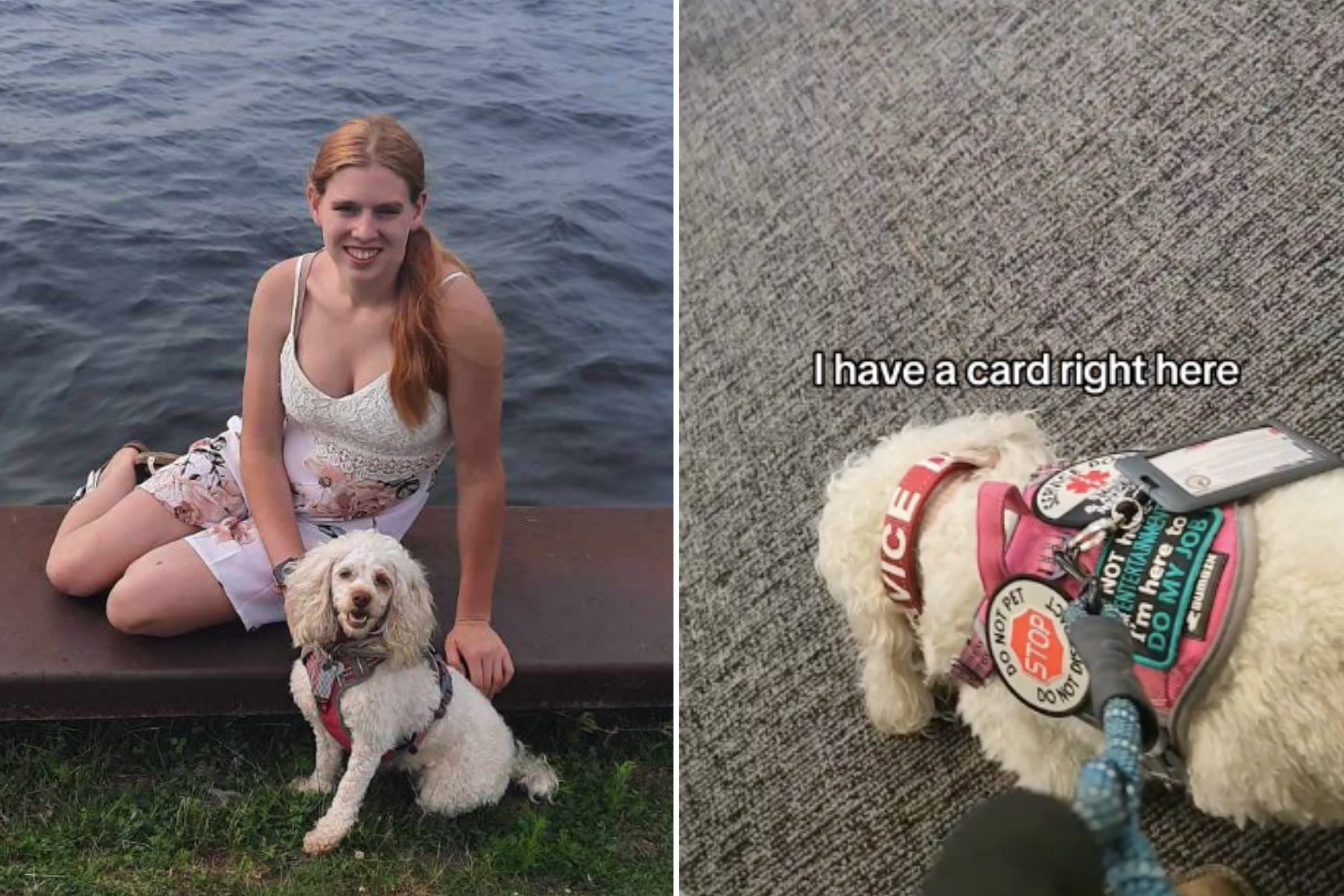 Woman Films Moment She Was Told Service Dog Must Leave Doctor's: 'So Wrong' - Newsweek