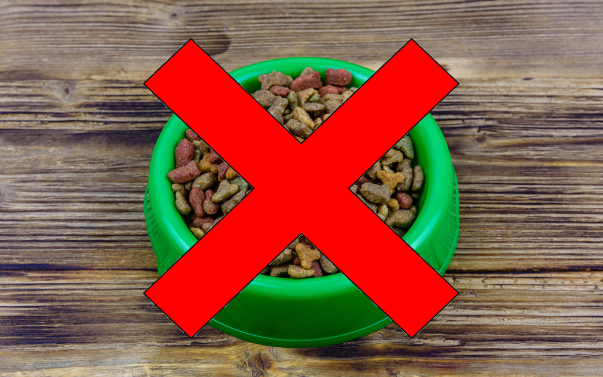 A bowl of dog food. 