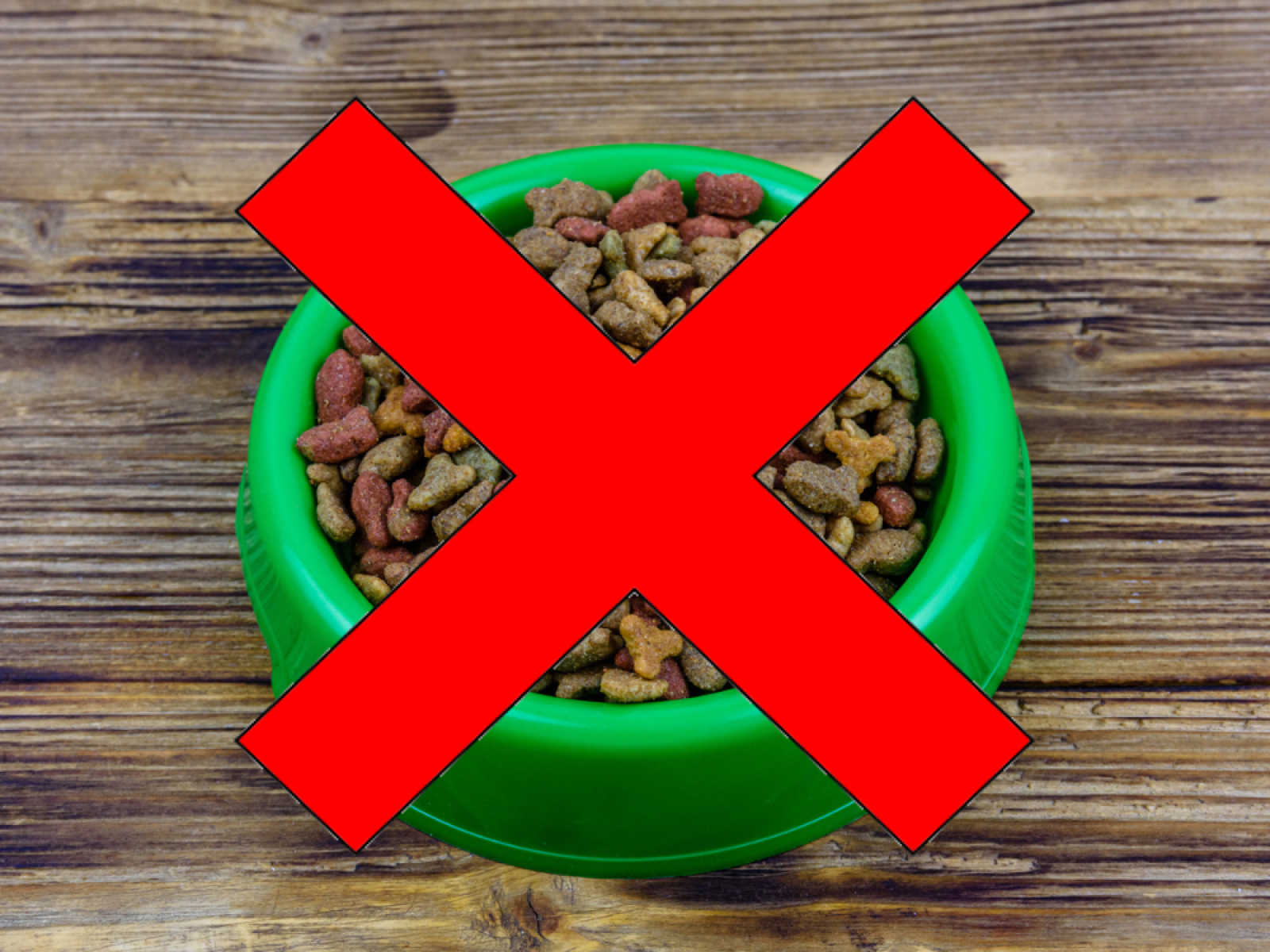 Fda dog food warning 2019 deals