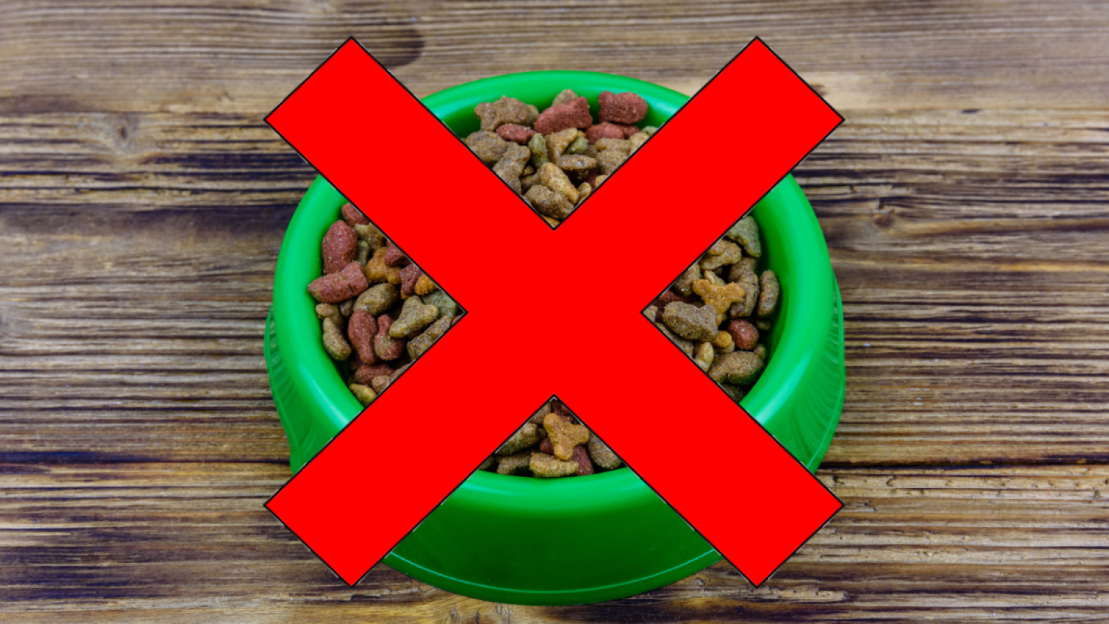 Cdc top dog food