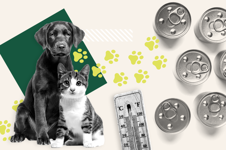 Better Planet Protecting Pets BANNER