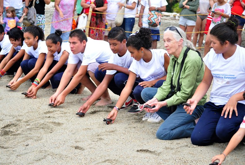 Jane Goodall Programma Radici e Spara Columbia