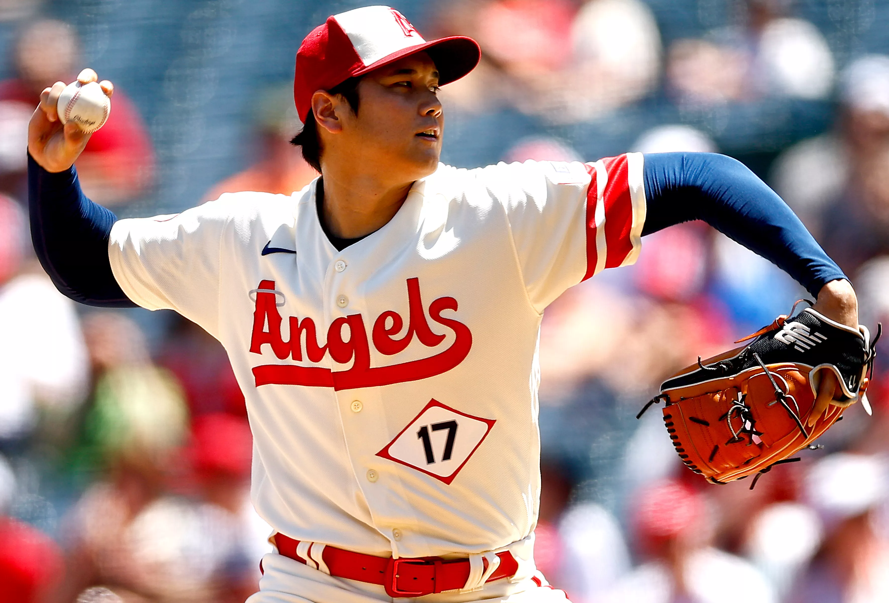 Shohei Ohtani Injury: How UCL Tear Impacts Star's Impending Free Agency - Vimarsana News