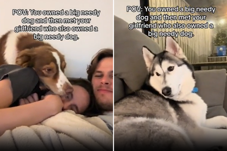 Elliot Isles with clingy dogs
