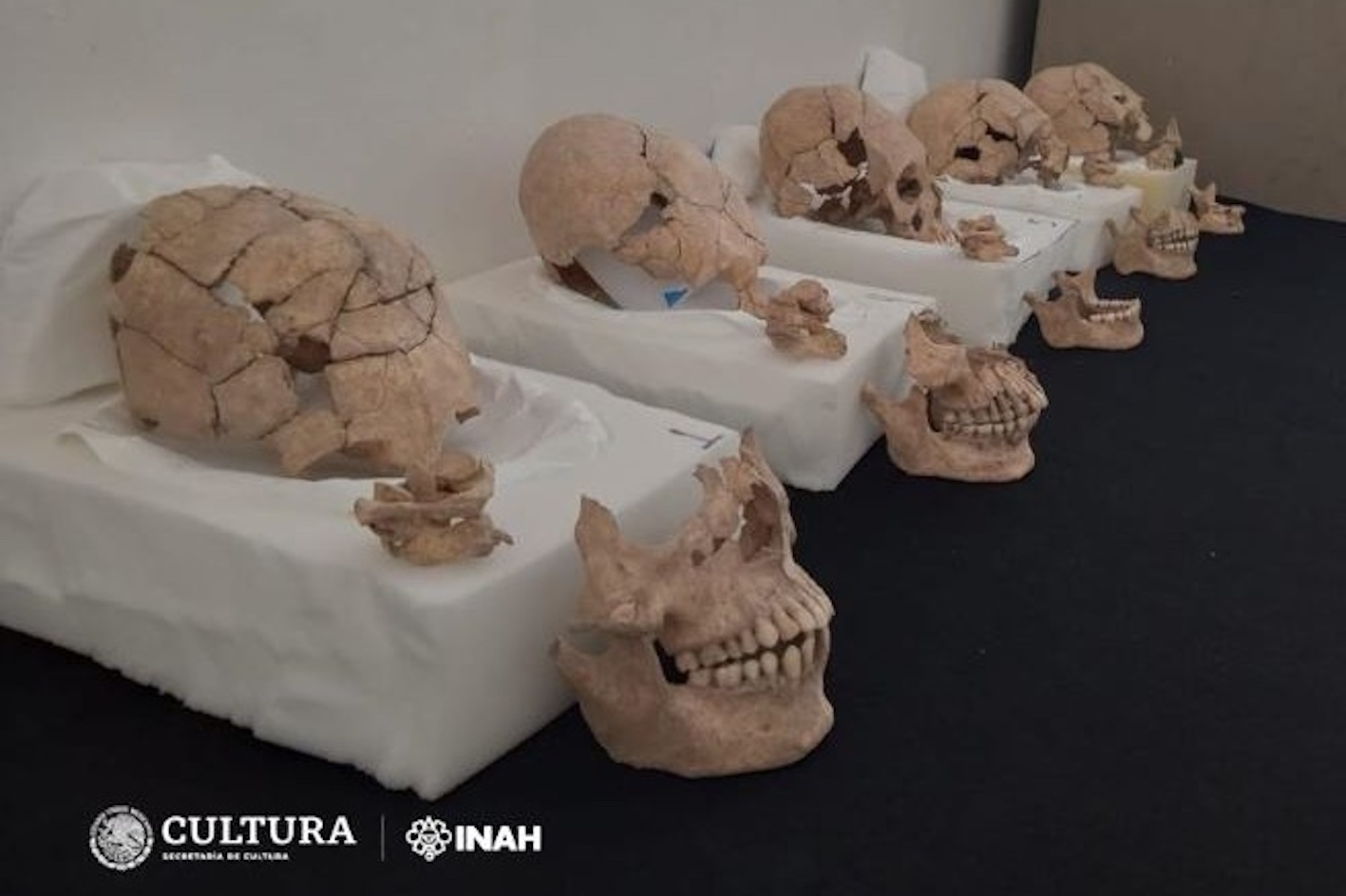 Des crânes découverts sur un ancien site maya révèlent un rituel historique horrible