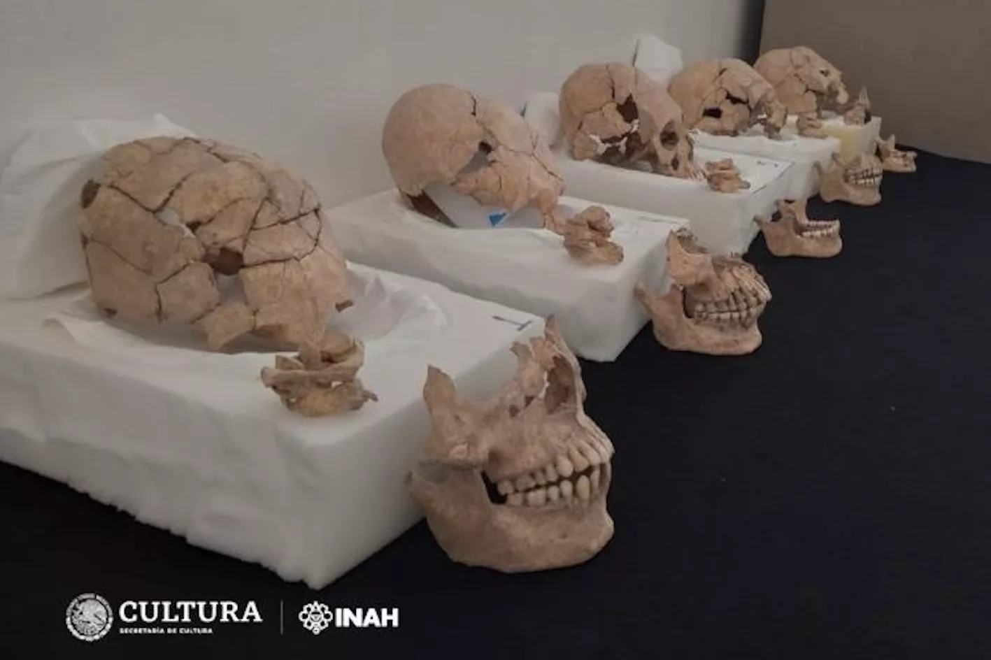 Skulls Found at Ancient Mayan Site Reveal Gruesome Historical Ritual - Vimarsana News