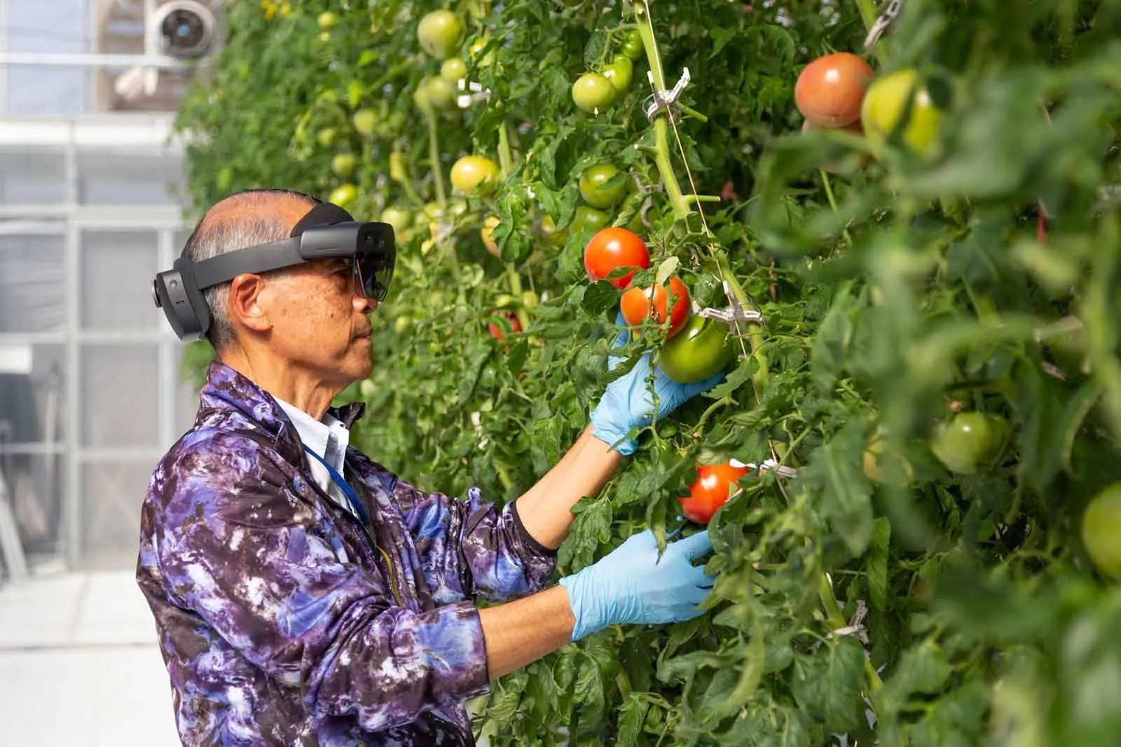 Can Tokyo-Style Smart Farming Help Solve the Global Food Crisis? - Vimarsana News