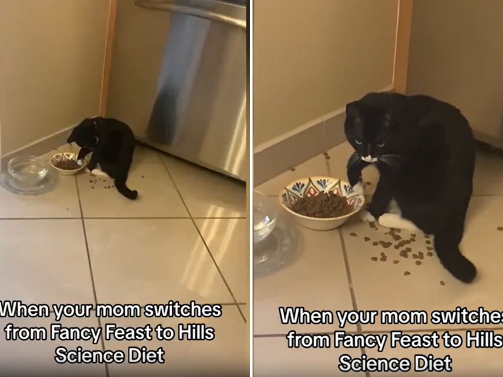 Is fancy feast sales bad for your cat