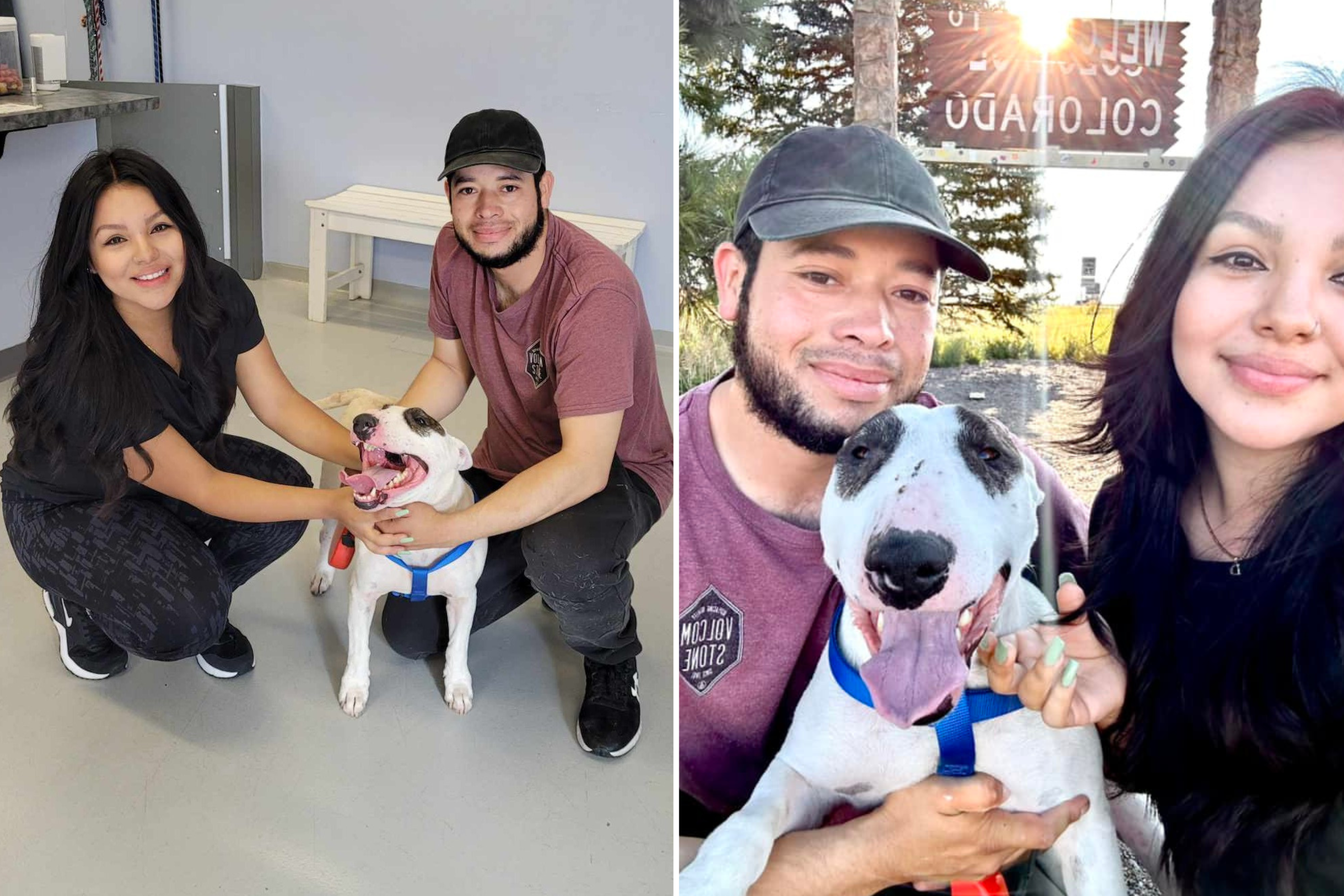 Tearful Reunion As Missing Dog Turns Up in Different State After 2 Years