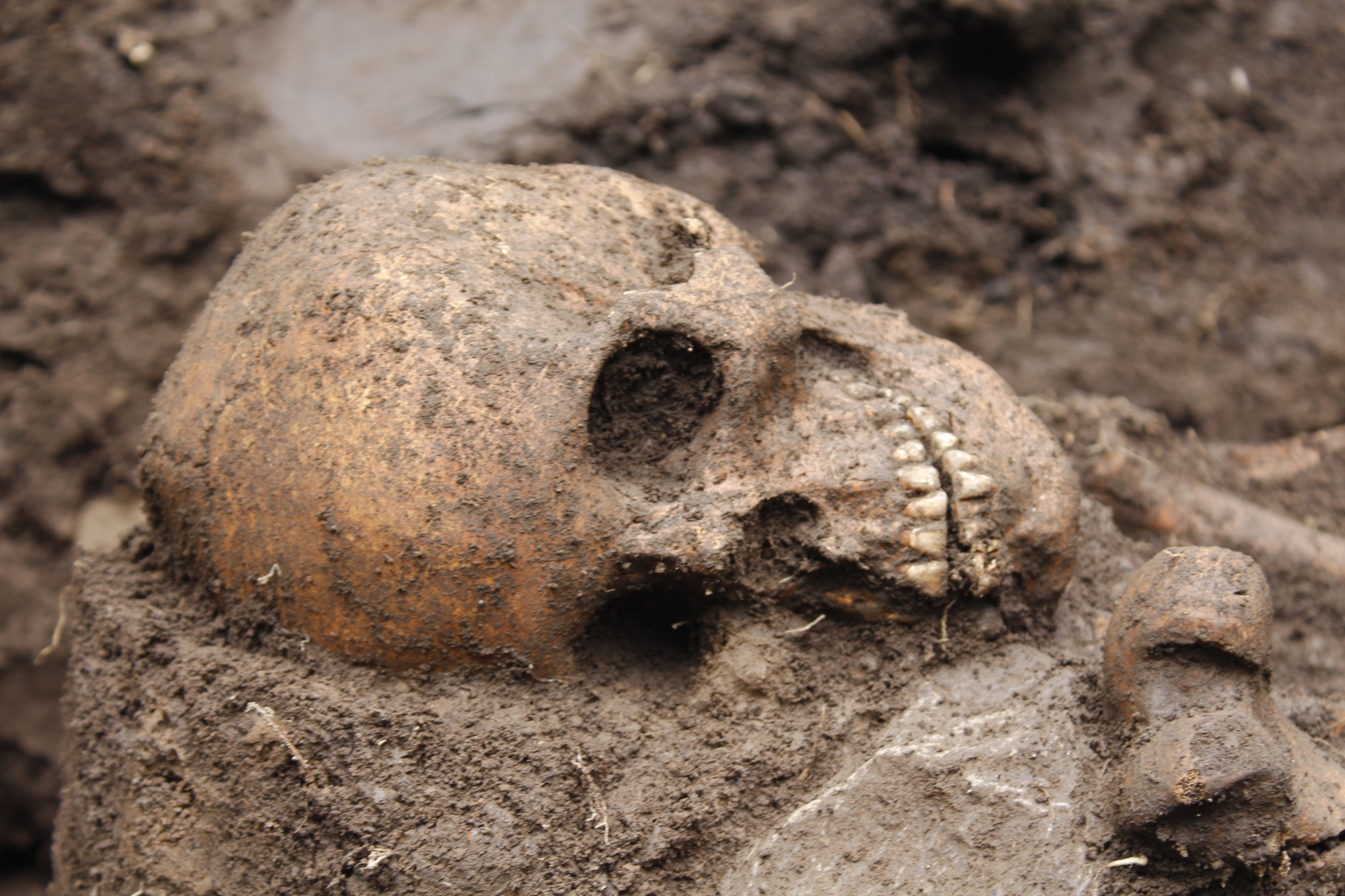 Heavy Rain Uncovers 1,000-Year-Old Skeleton of Woman