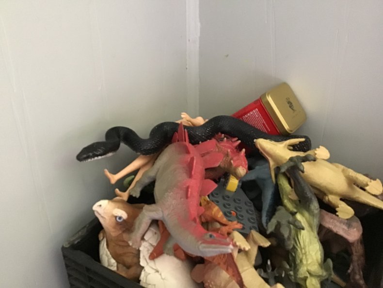 Snake in toys