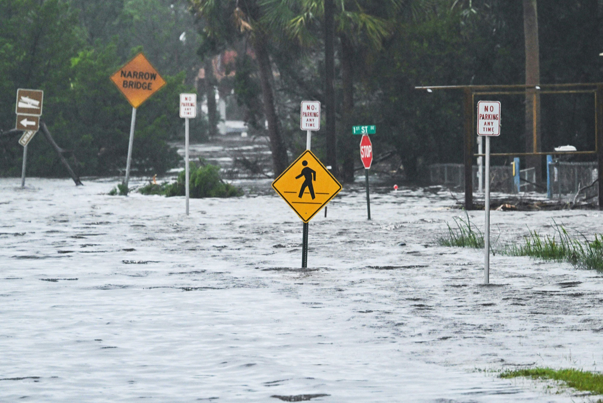 Contaminated Florida Water Could Cost People Their Limbs