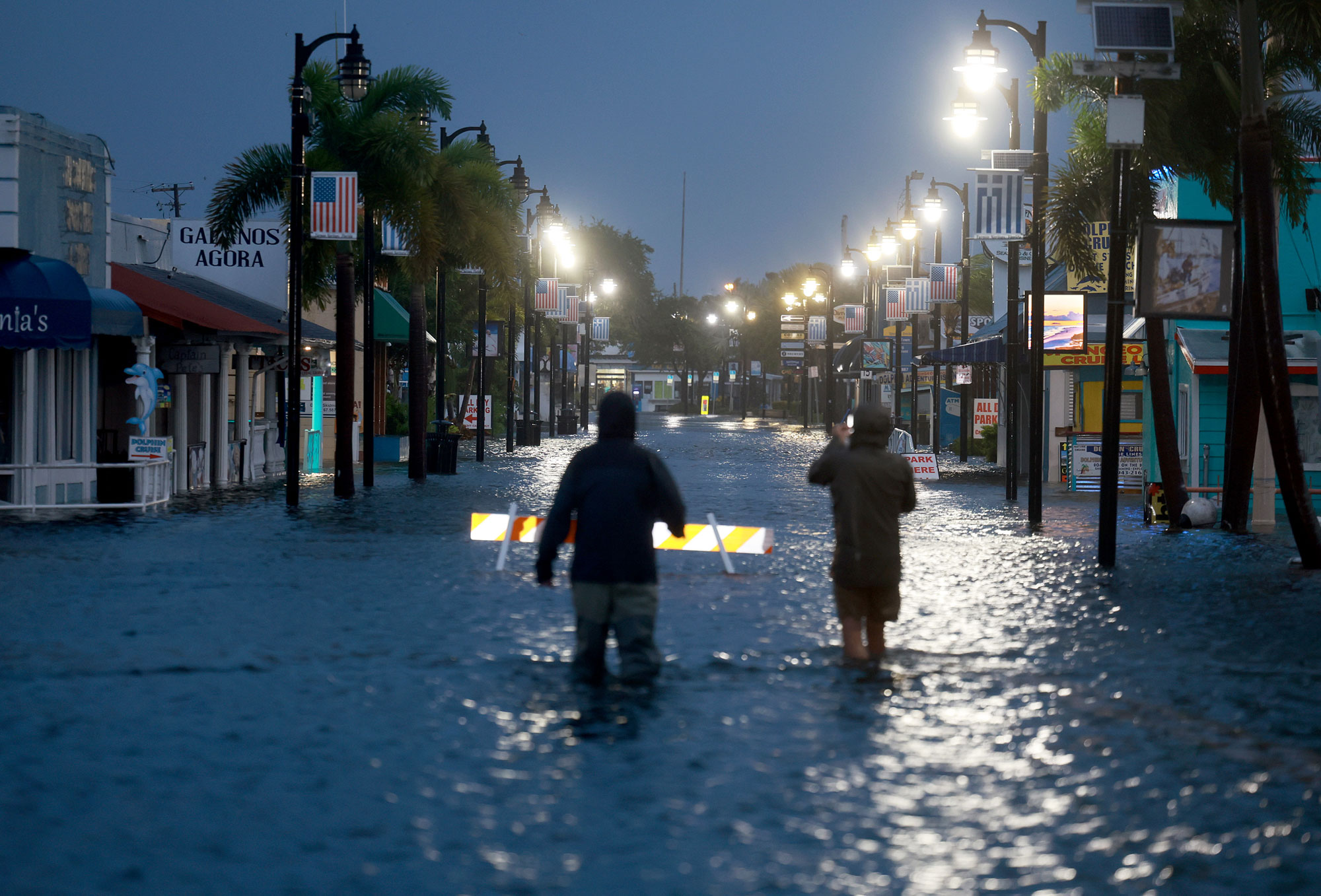 Fact Check: Does Viral Photo Show Dog Stranded in Hurricane Idalia Flood?