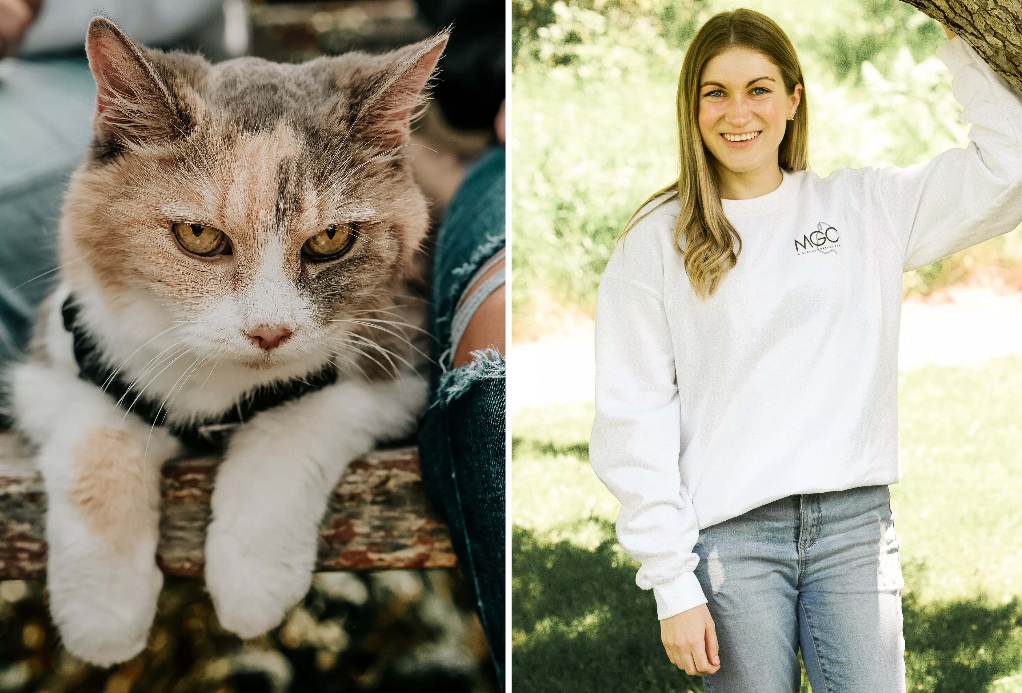 Sweet Reason Behind Woman Rescuing 115 Grieving Cats Whose Owners Have Died - Vimarsana News