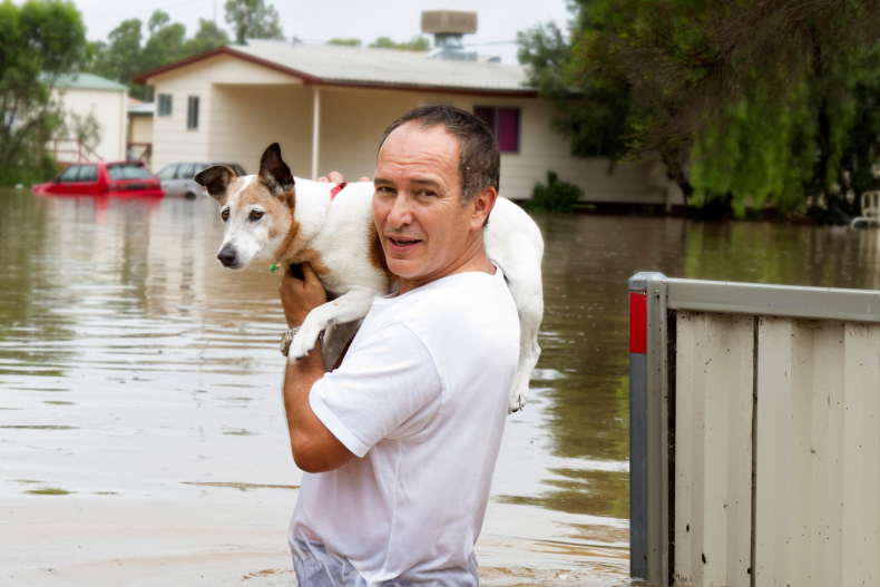 people saving dogs with canoes praised