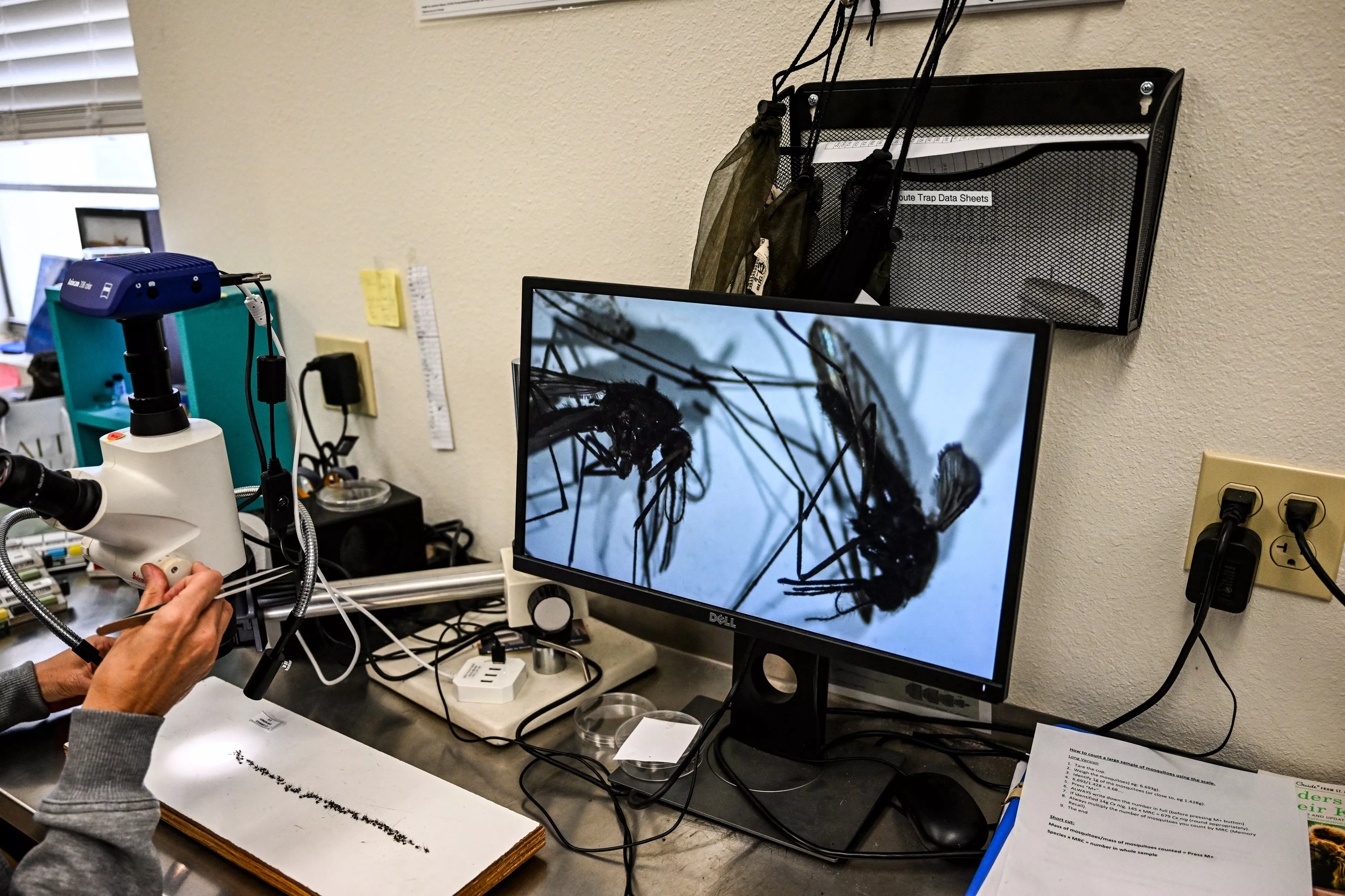Keeping Americans Safe from Malaria Is a Global Effort - Vimarsana News