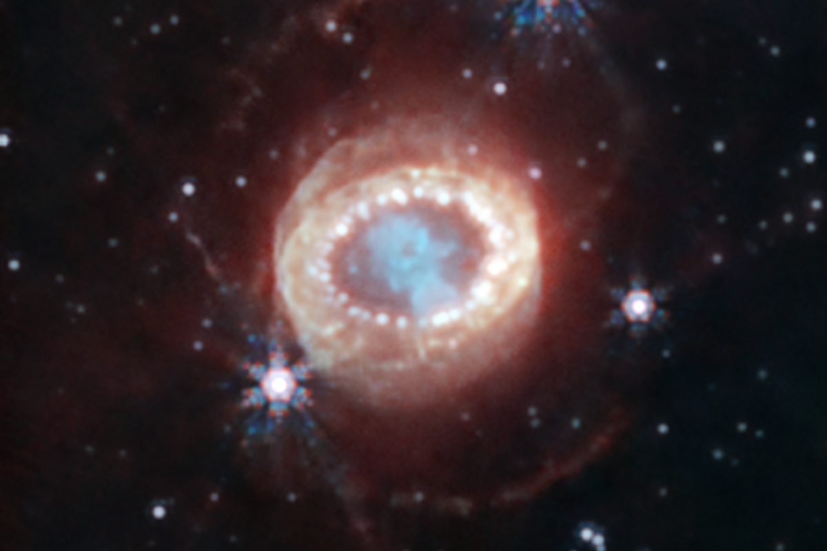 The SN 1987A supernova