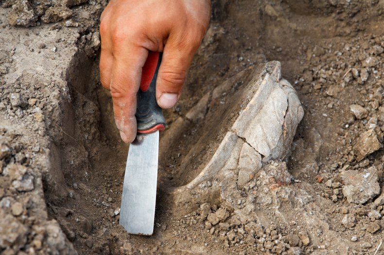 An archaeologist conducting an excavation