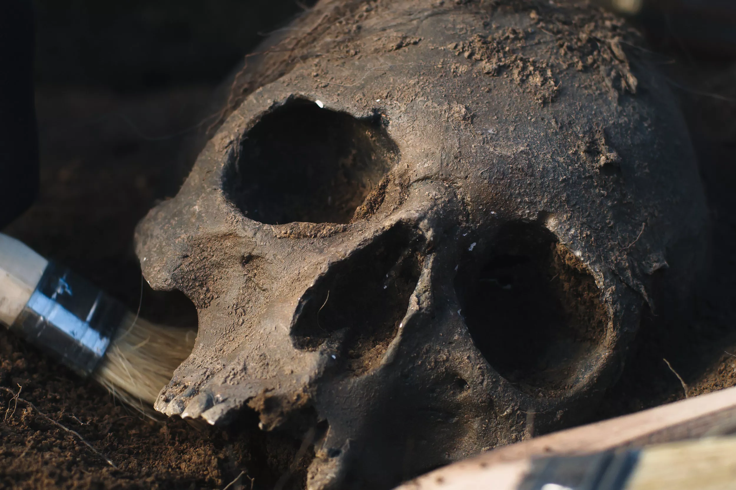 Cemetery With 50 Bodies, Other Rare Finds, Unearthed at Medieval Monastery - Vimarsana News