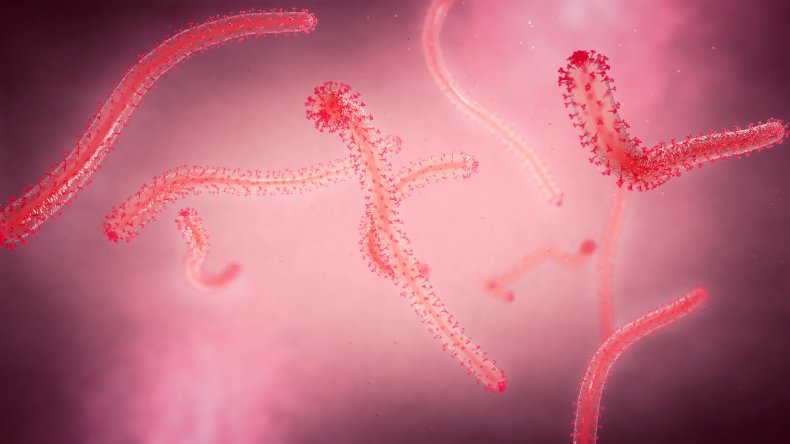 ebola
