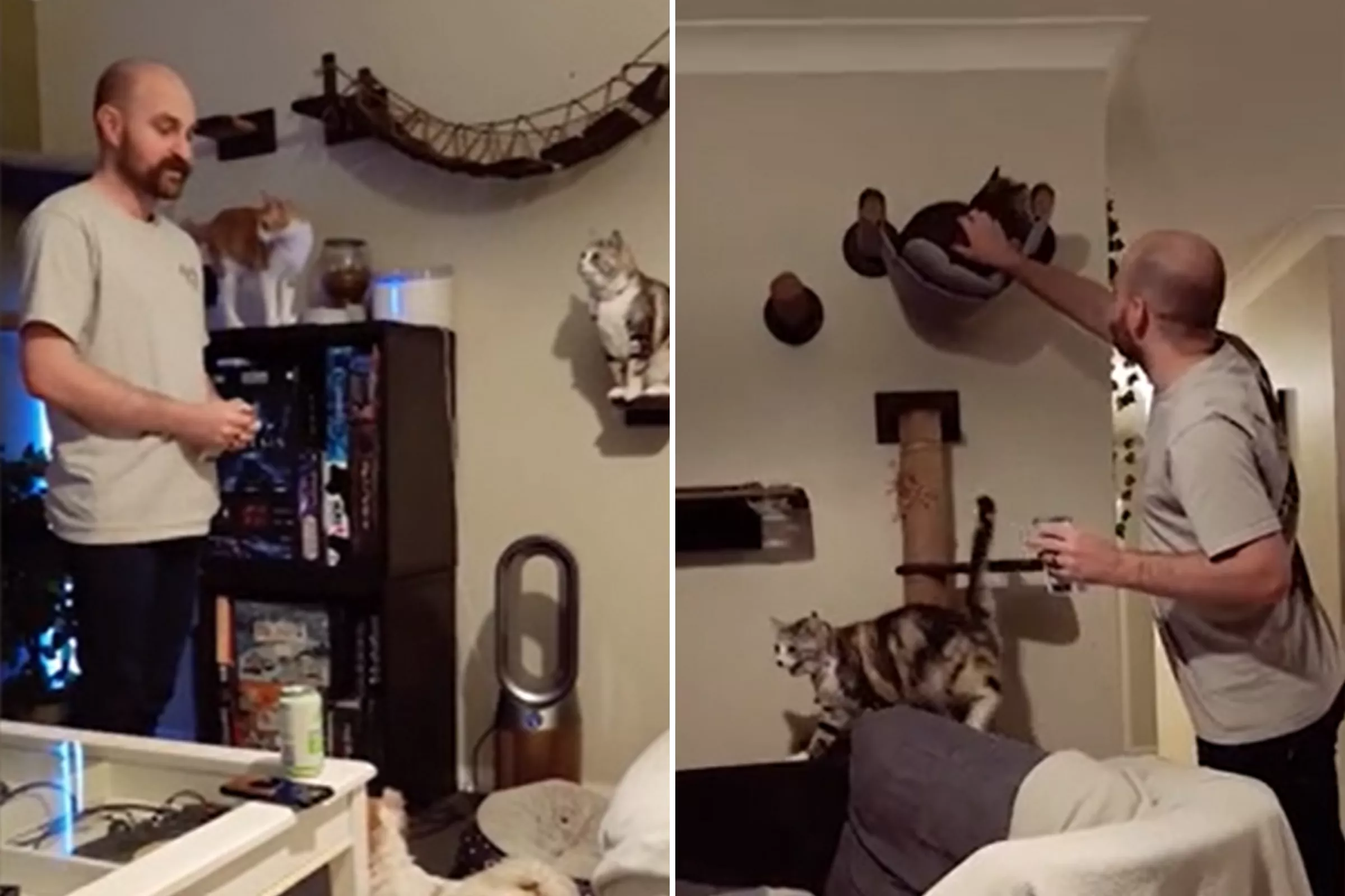 Man Praised for 'Hilarious' Pet of the Week Ceremony for His Animals - Vimarsana News