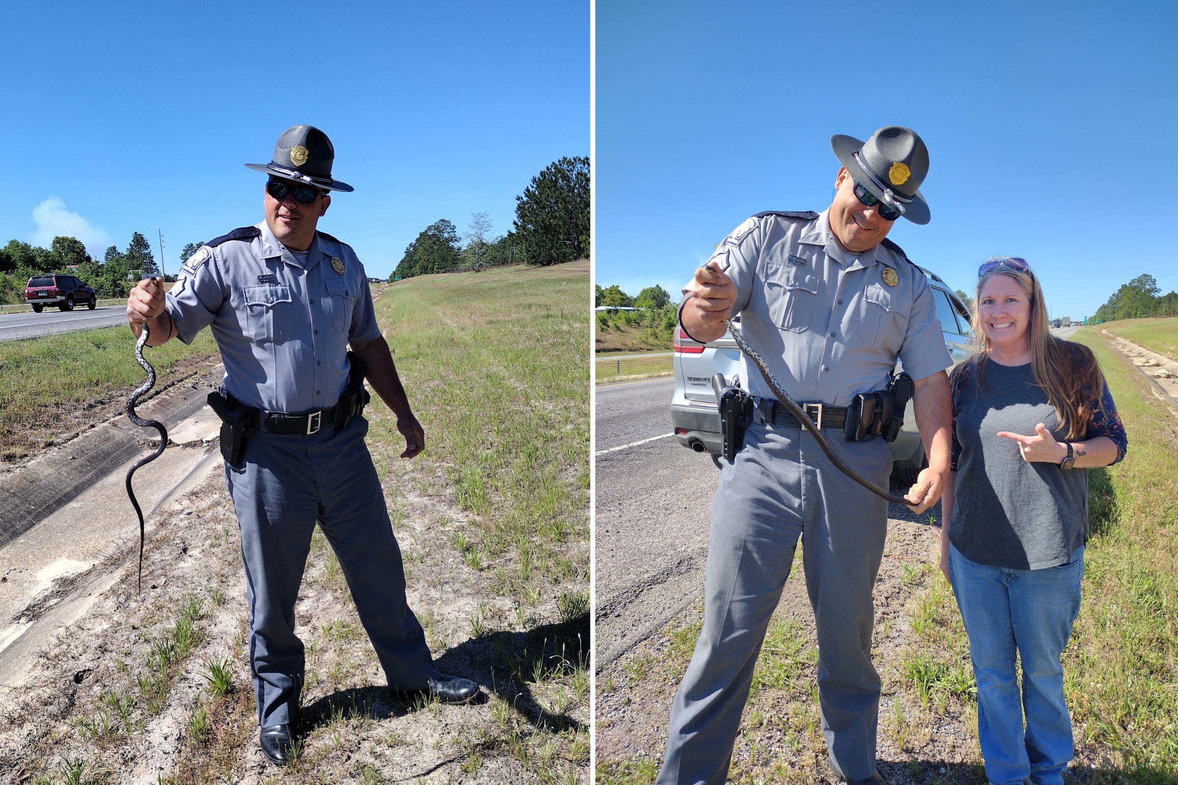 Four-foot snake slithers into car, woman narrowly avoids interstate crash